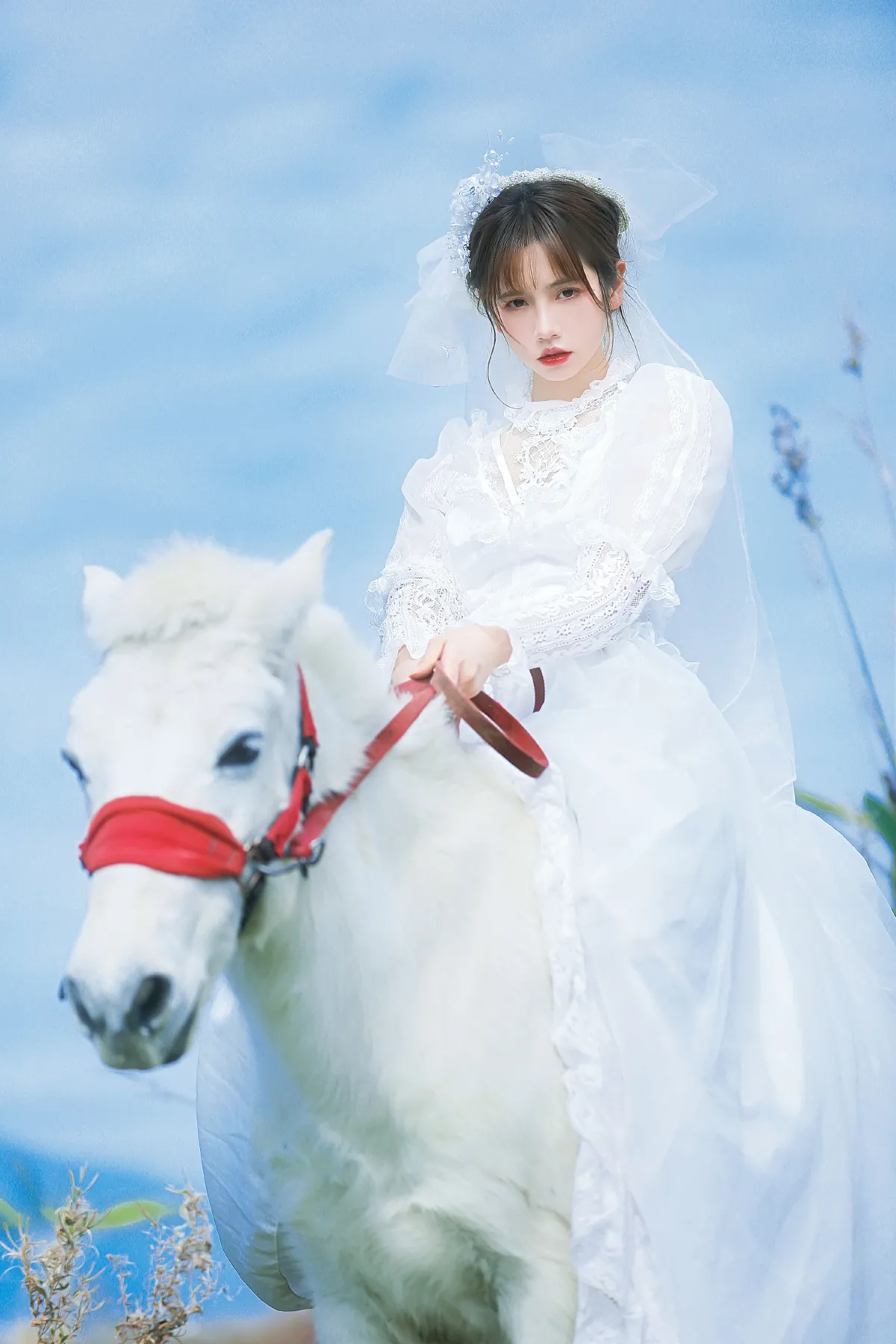 山药排骨汤_林木婷子《桑桑，我带你回家。》美图作品图片4