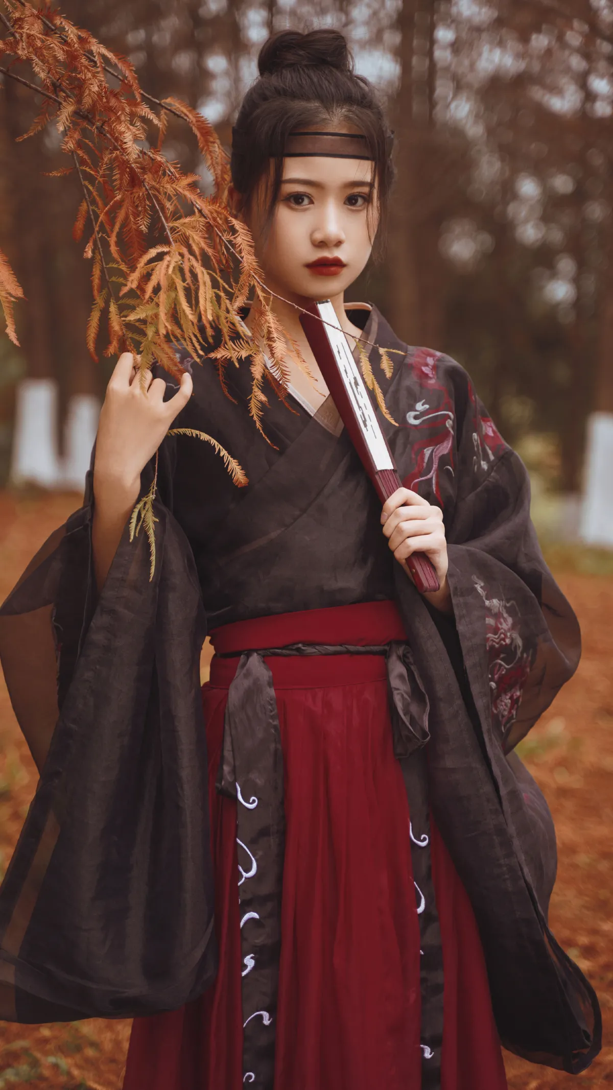红杉林1