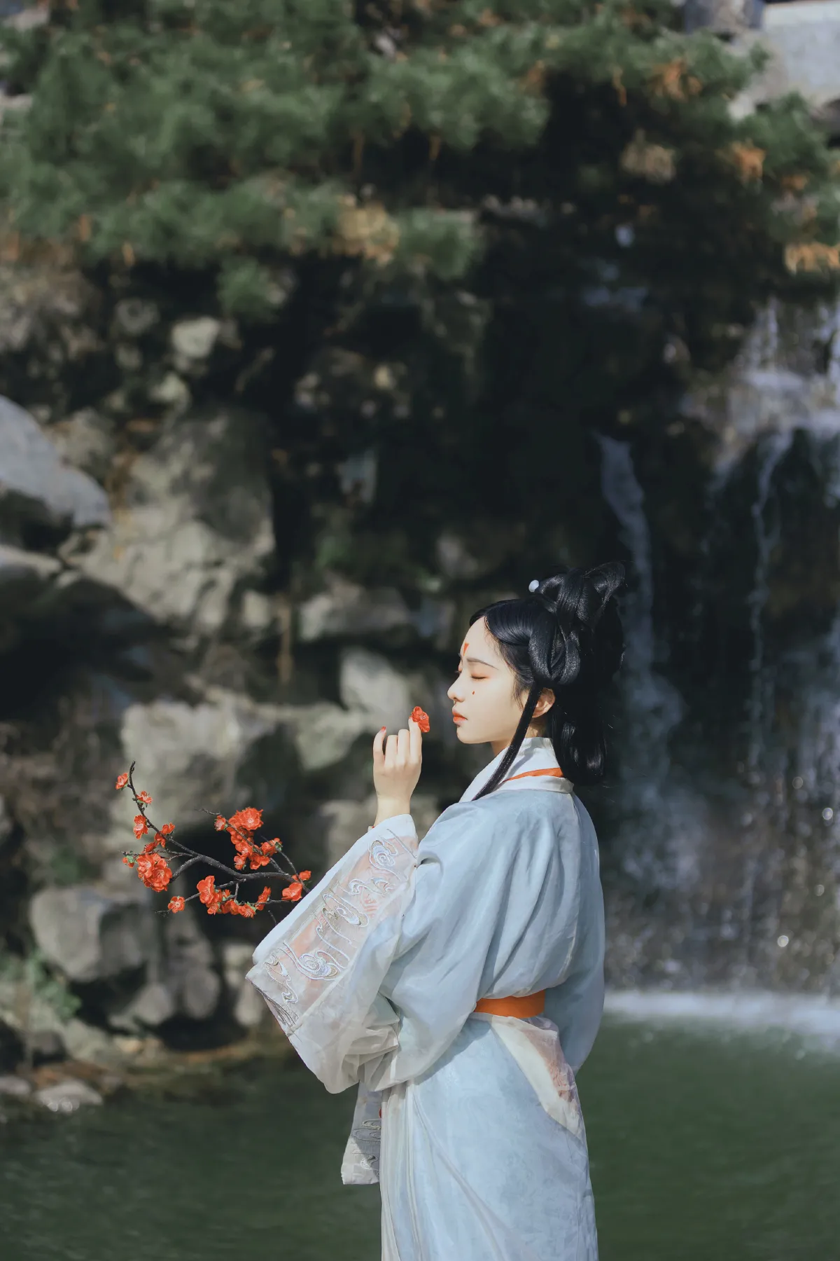 访梅4