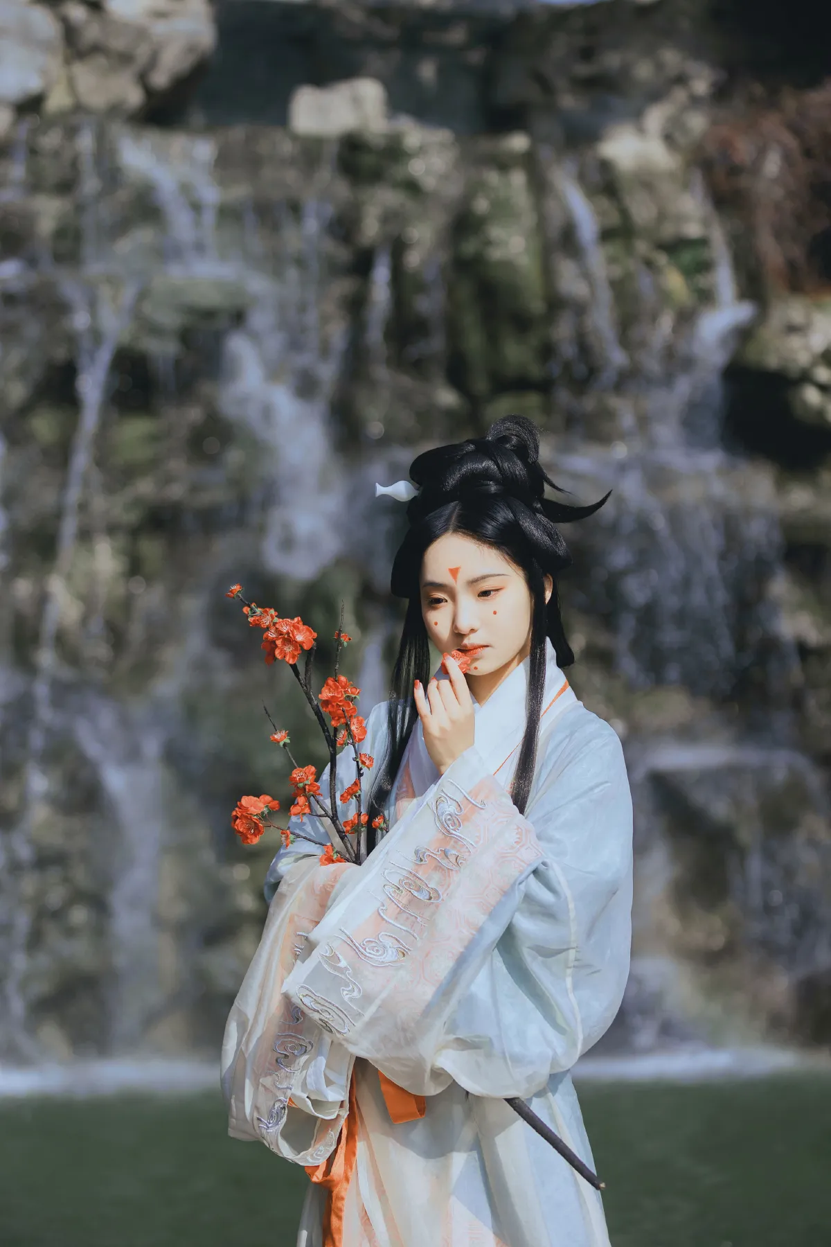 访梅5