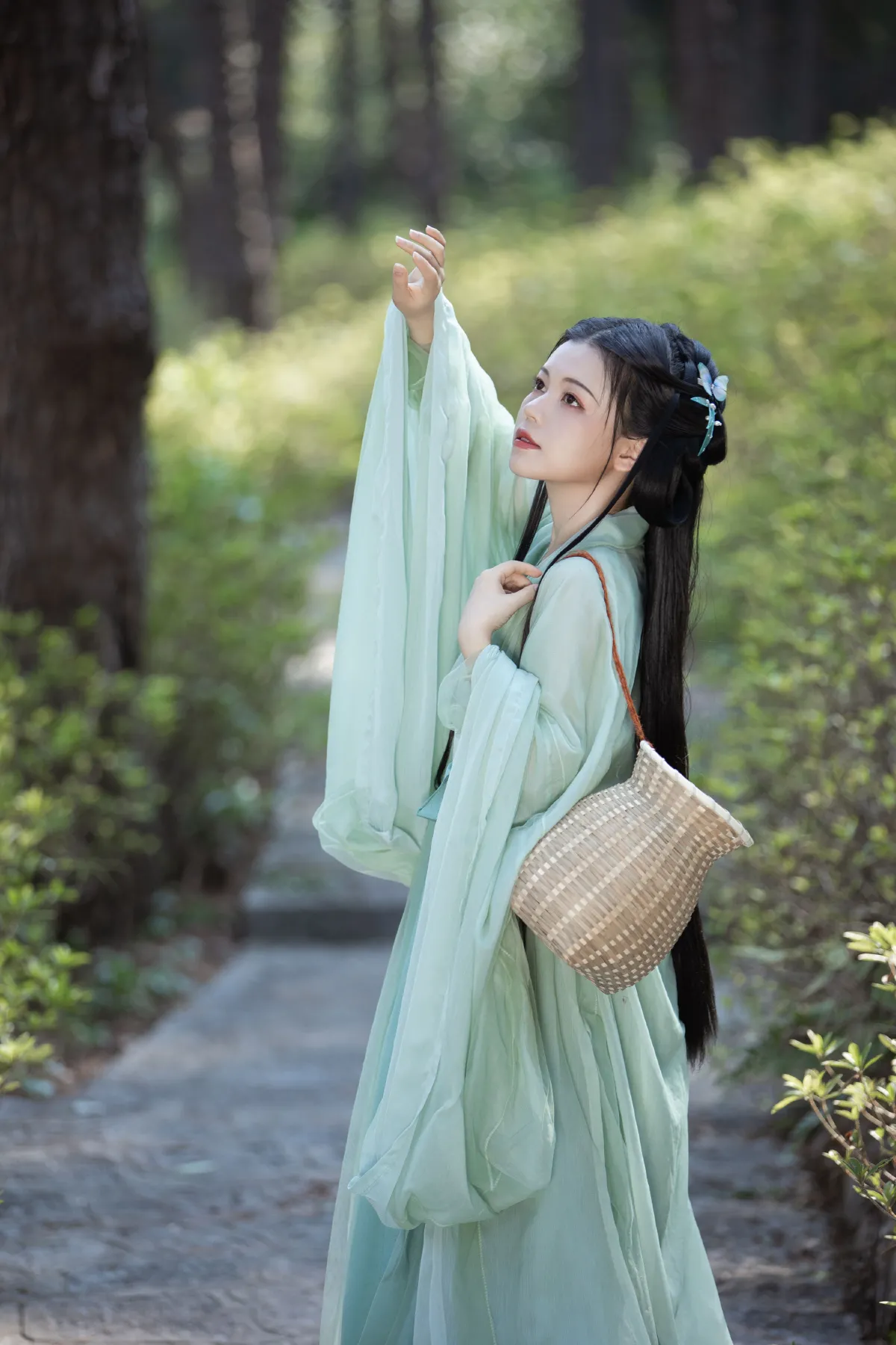 采茶纪2