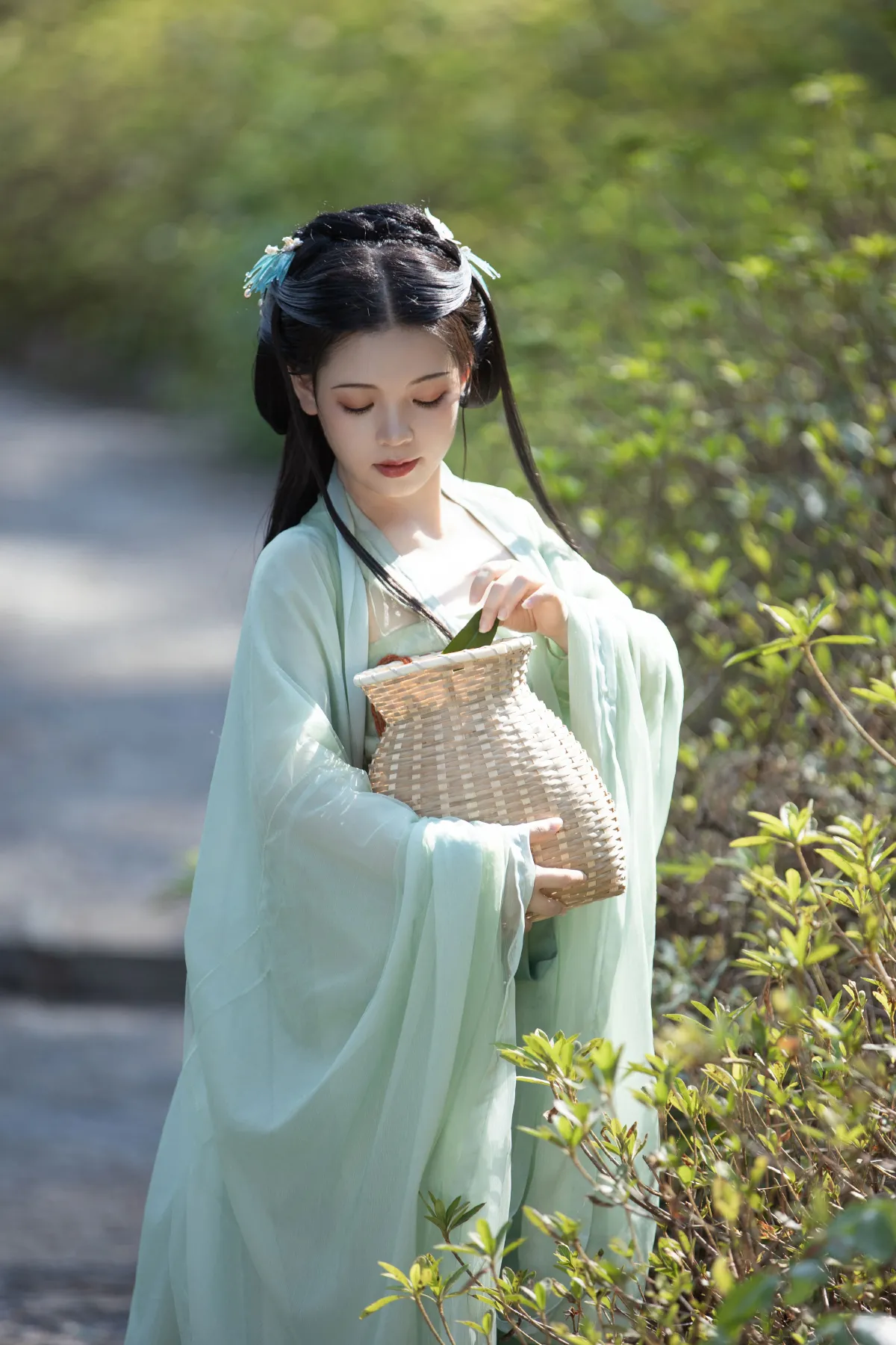 采茶纪