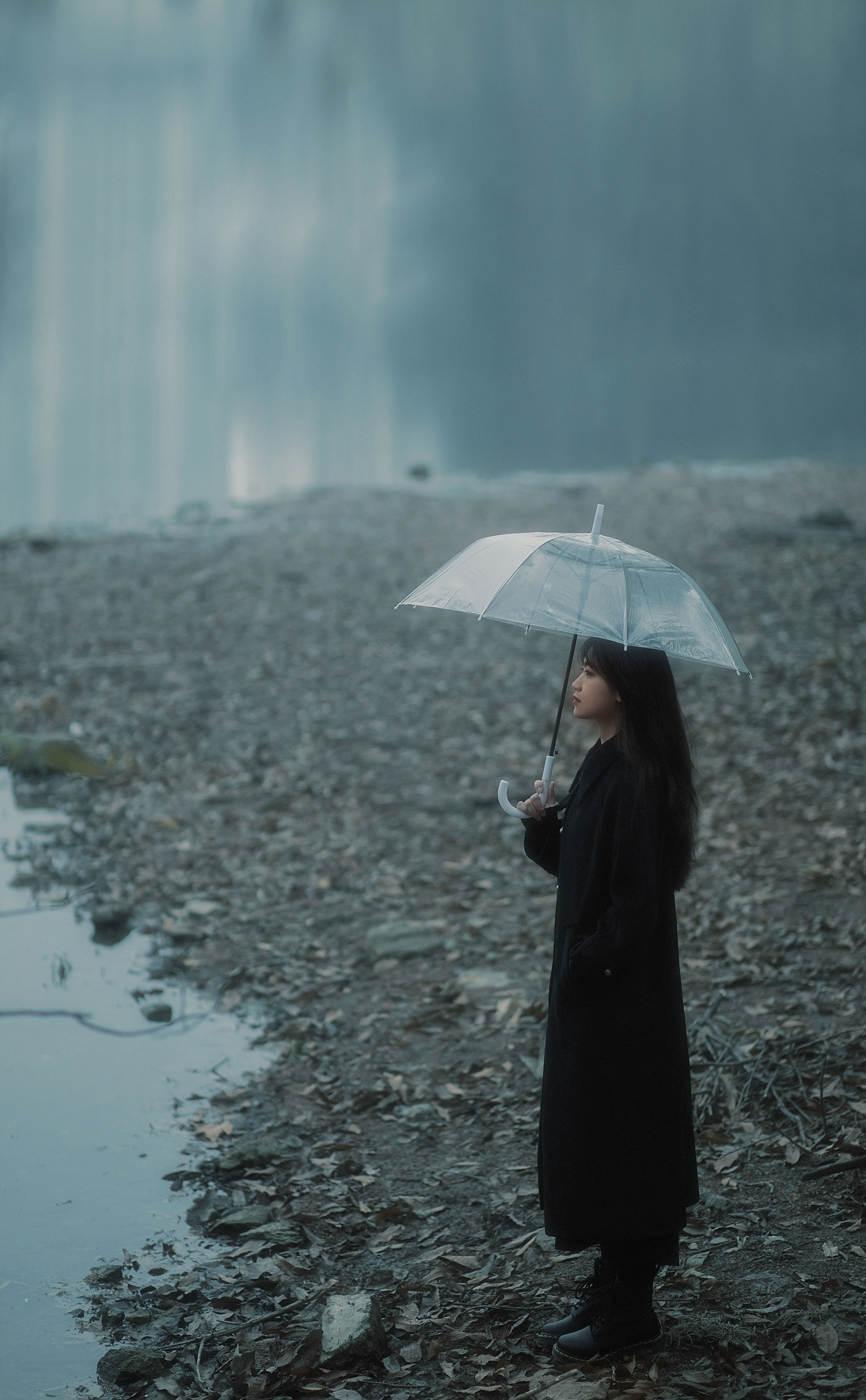 蝴蝶飞走了