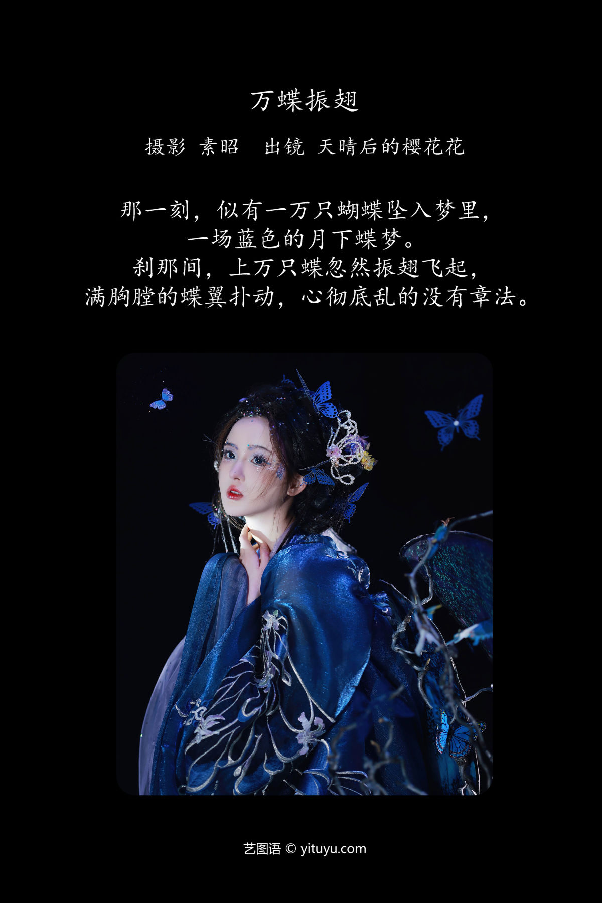 素昭_天晴后的樱花花《万蝶振翅》美图作品图片2