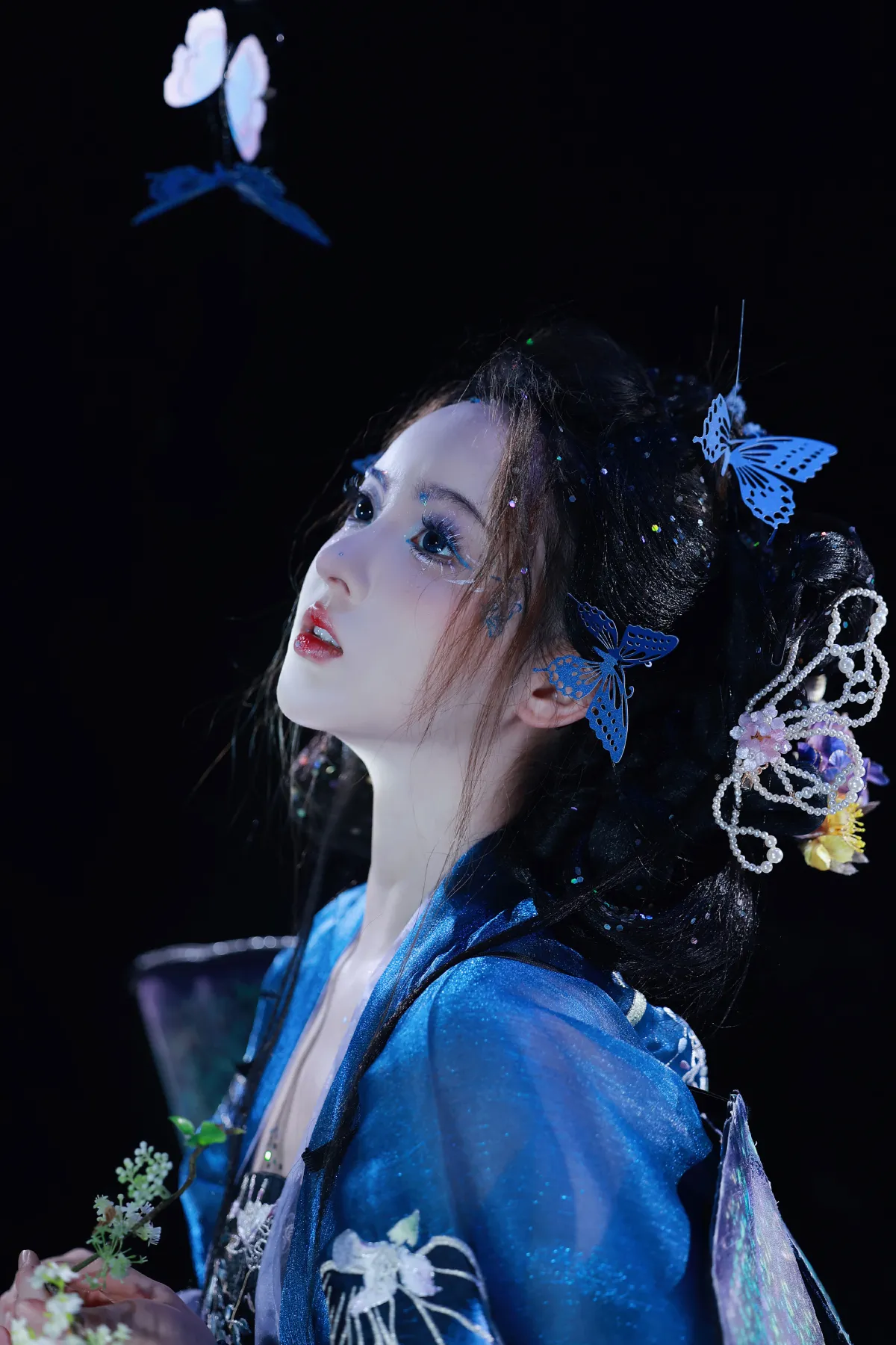 万蝶振翅