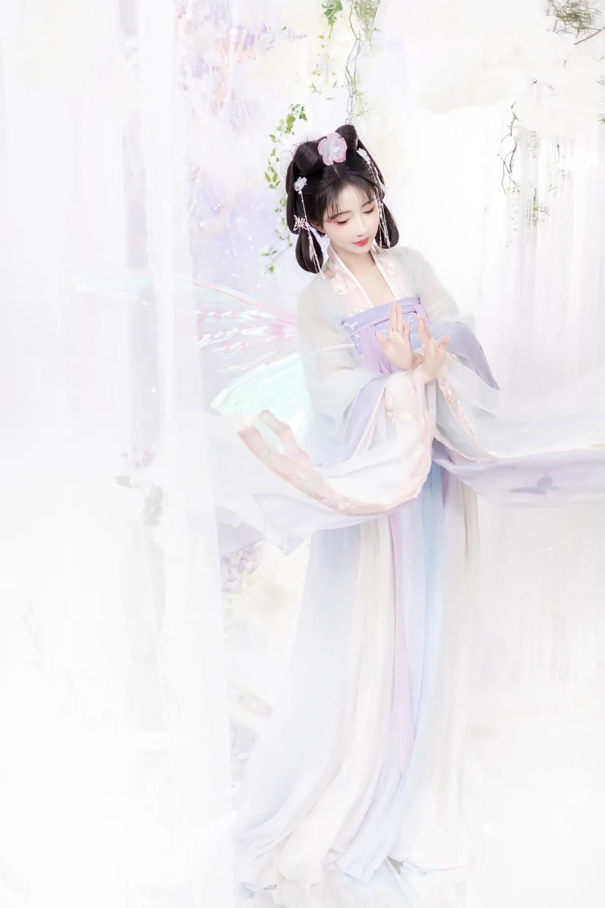 蝶兰1