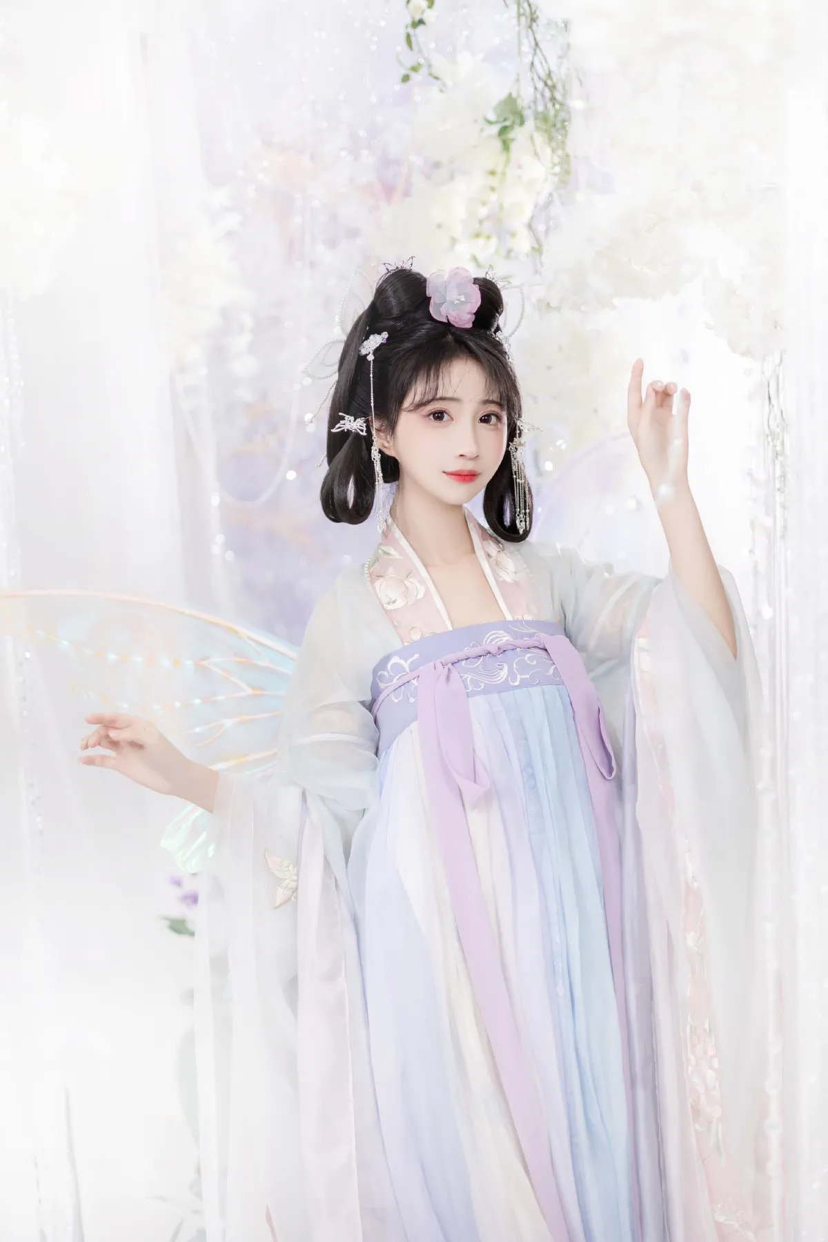 蝶兰2