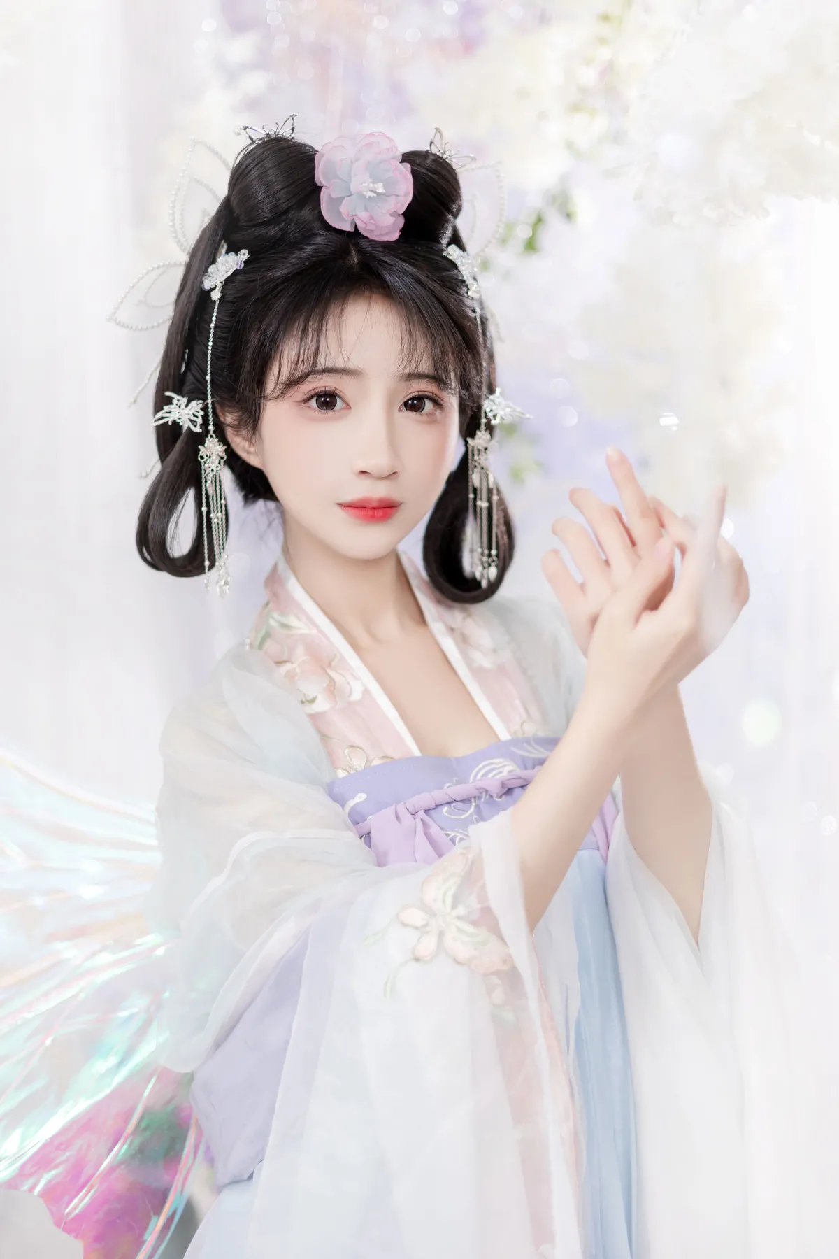 蝶兰