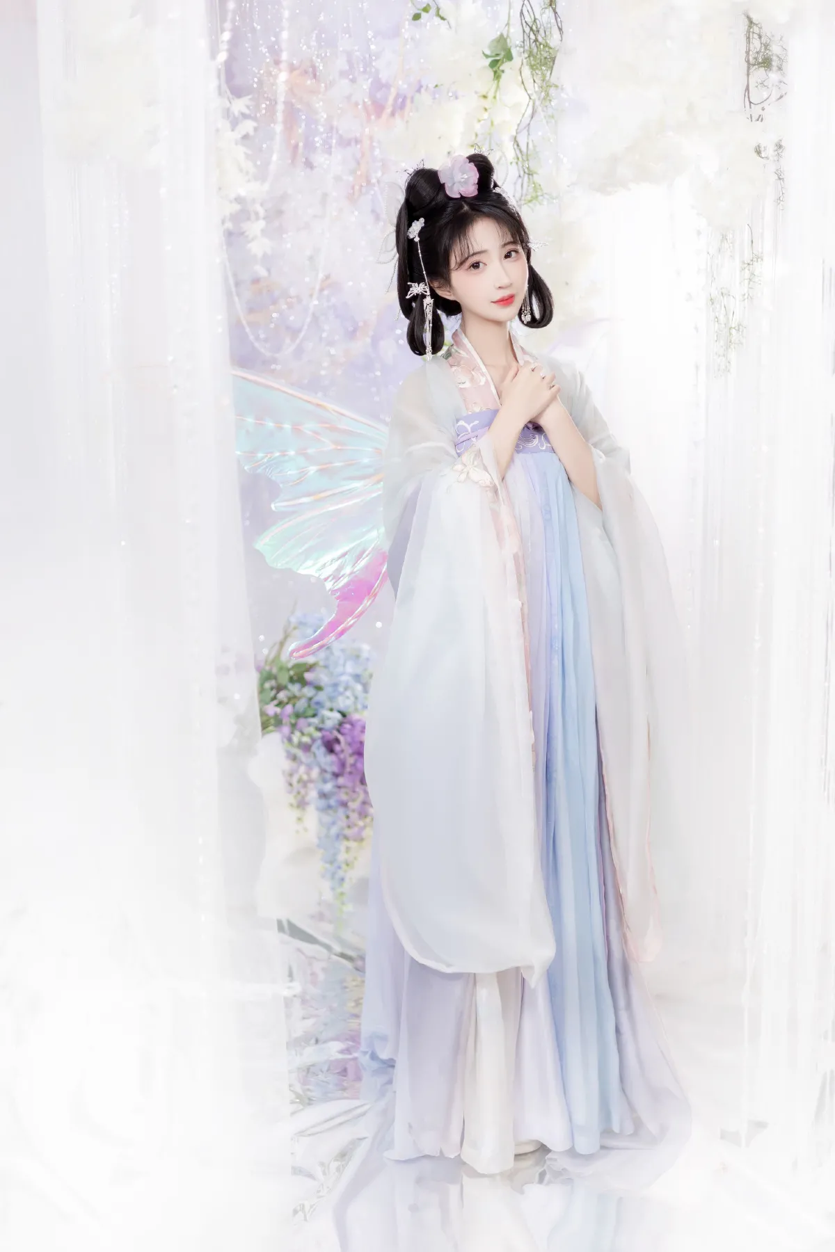 蝶兰3