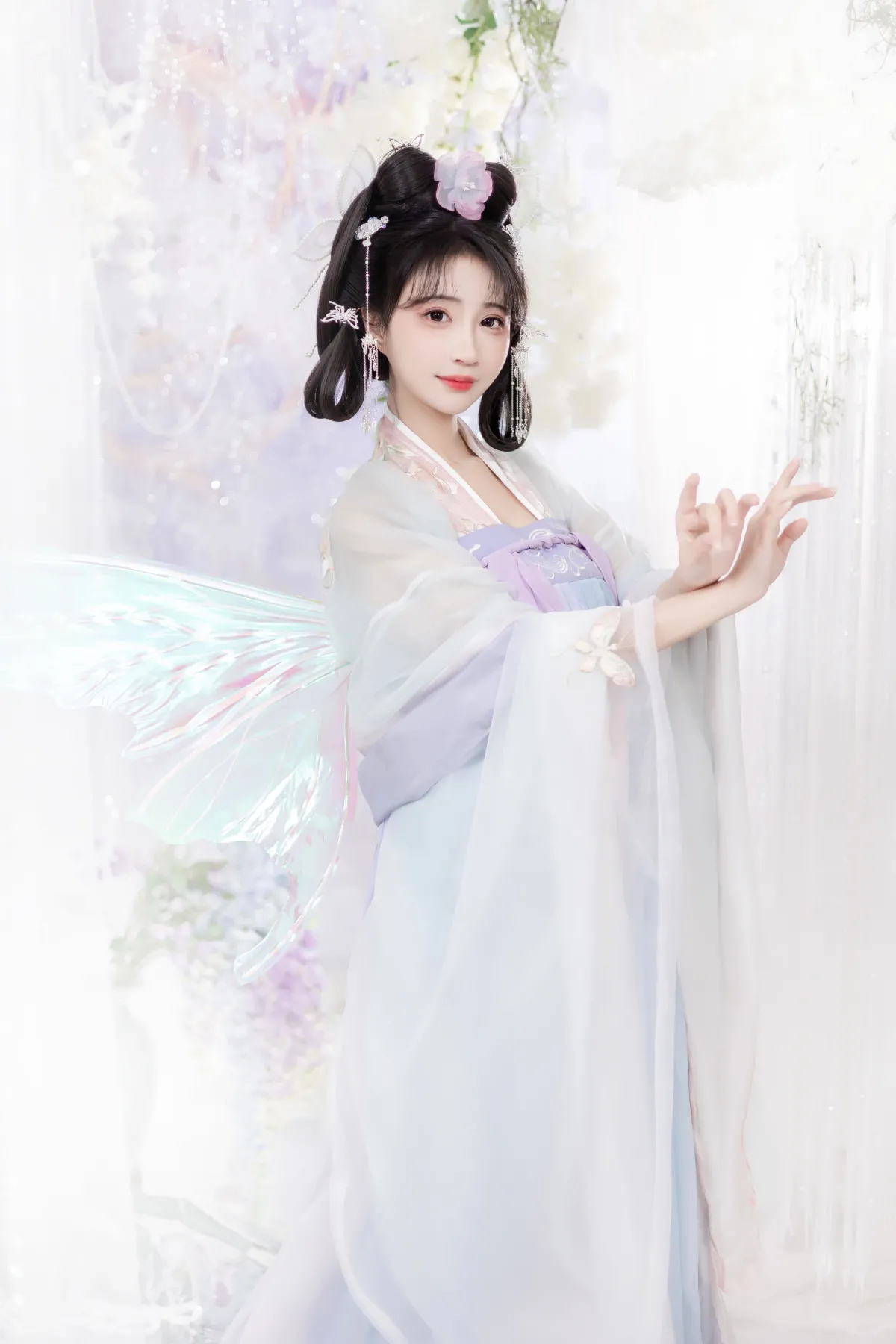 蝶兰