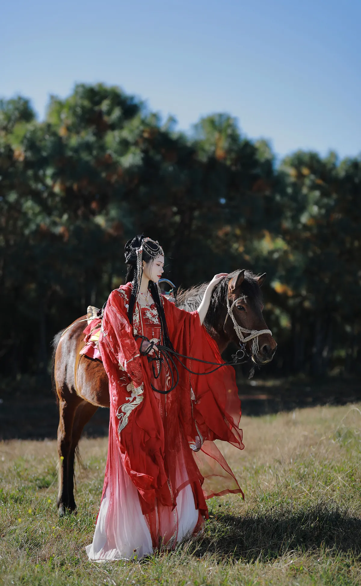 阿录-_吾岁岁《夕阳流火风舞沙，落日余晖映彩霞》美图作品图片3