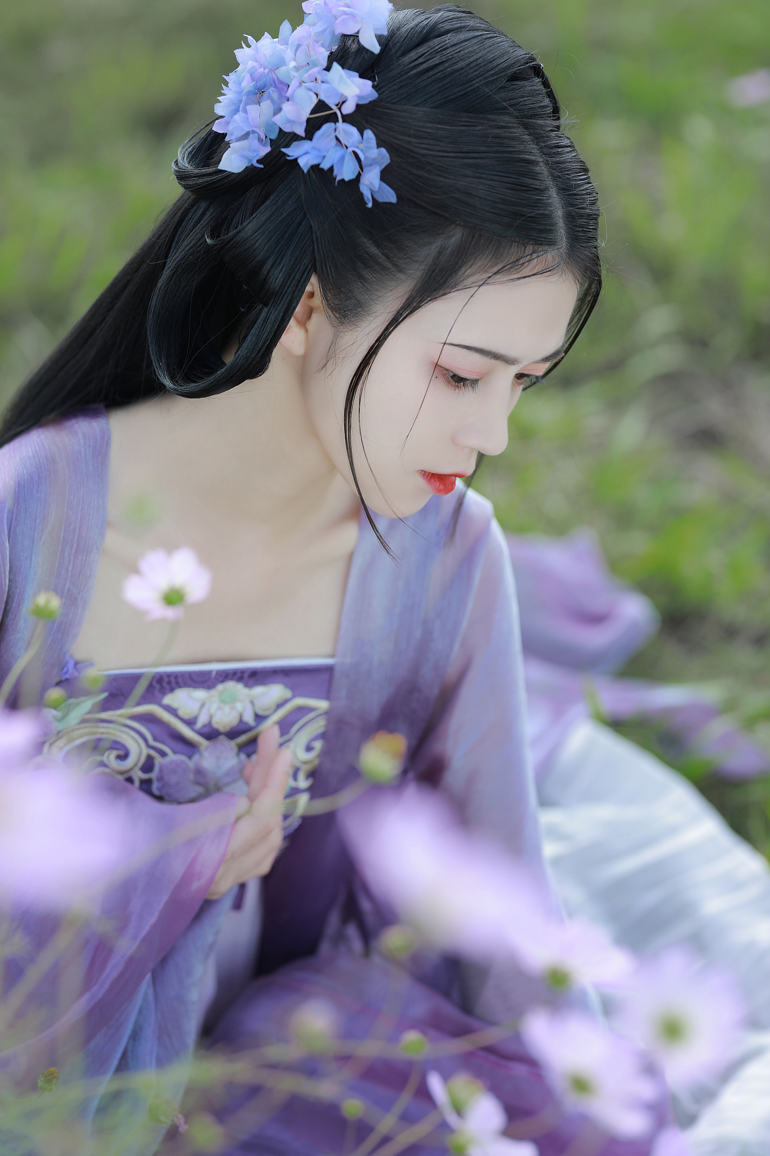 春风拂槛露华浓1