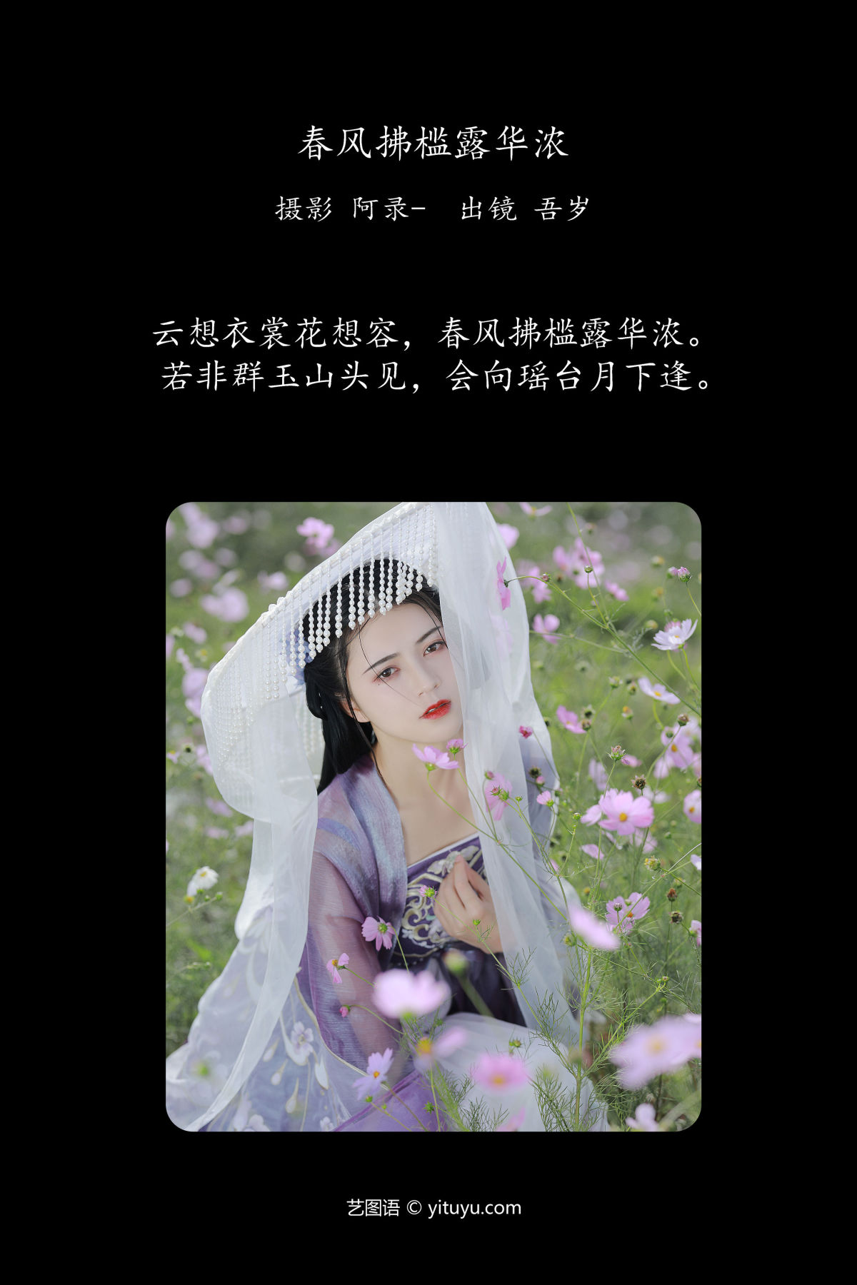 阿录-_吾岁岁《春风拂槛露华浓》美图作品图片2