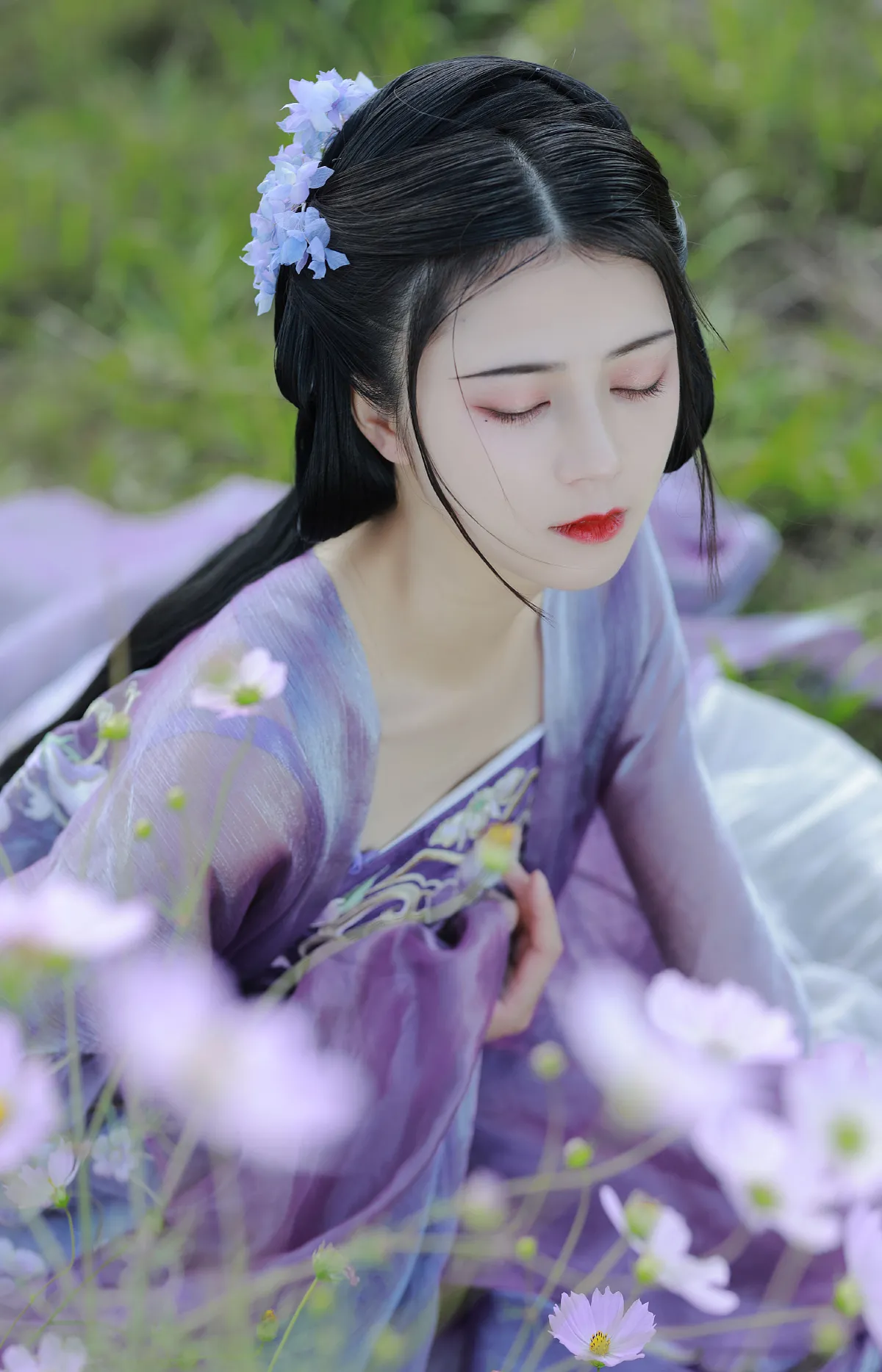 春风拂槛露华浓2