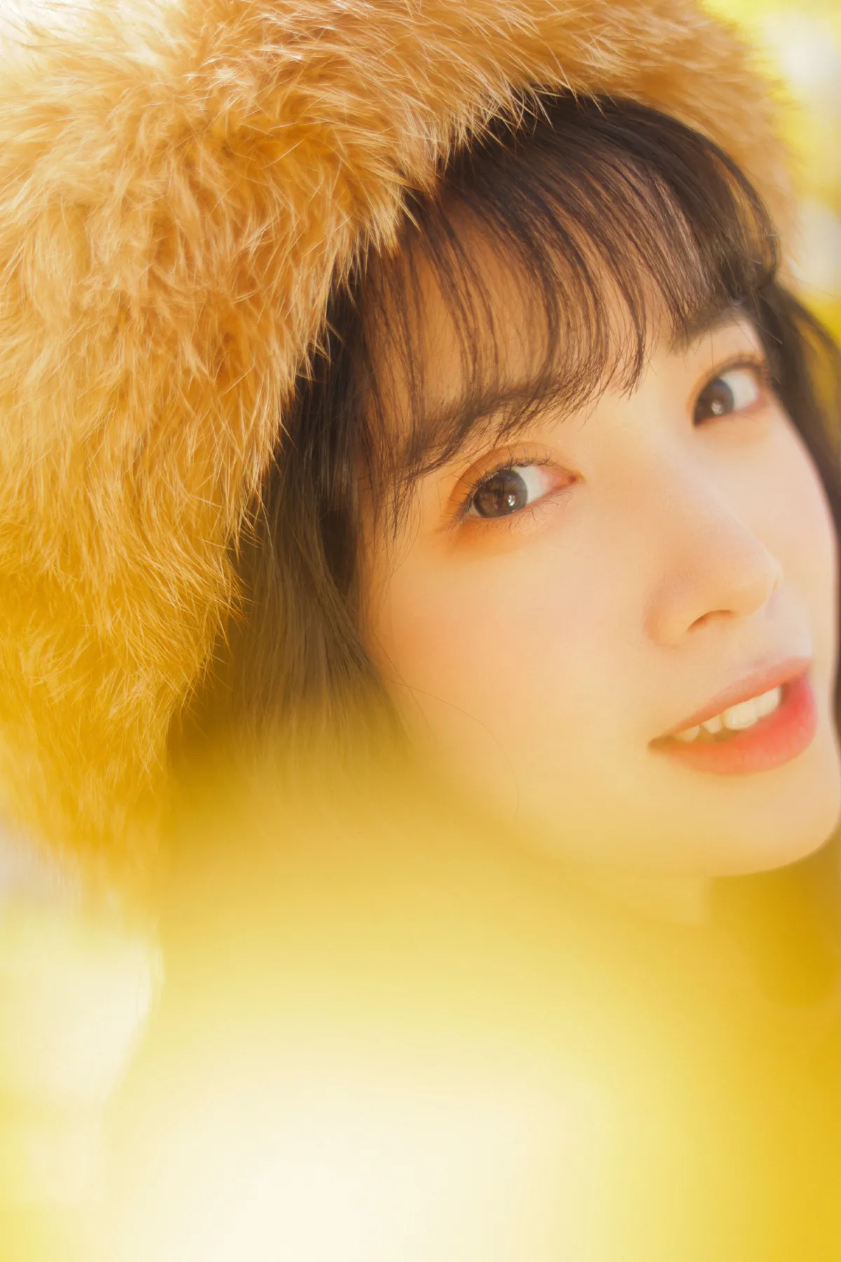 银杏不负秋
