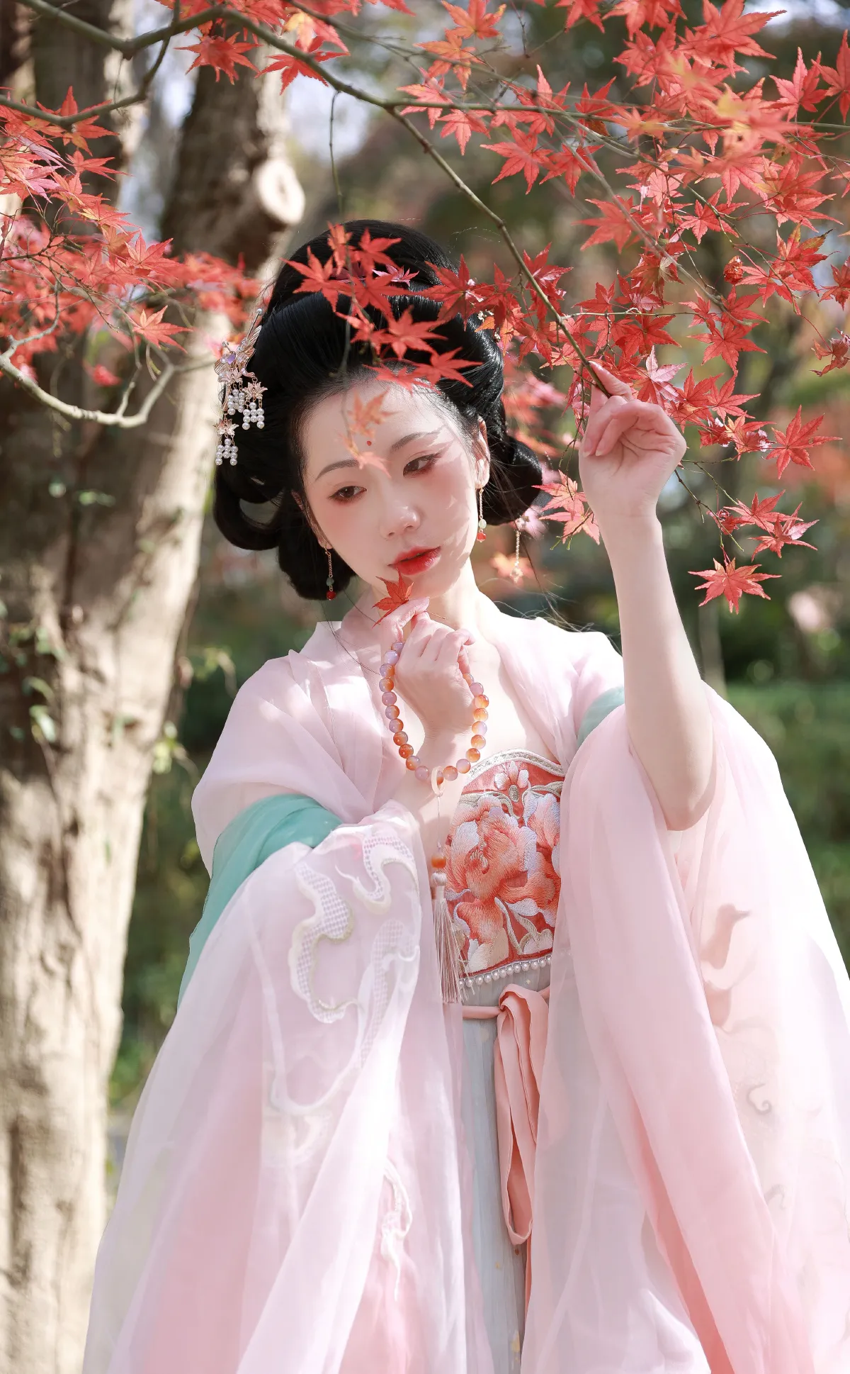 红枫1
