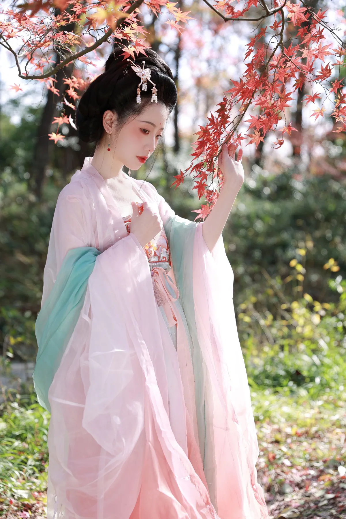 红枫