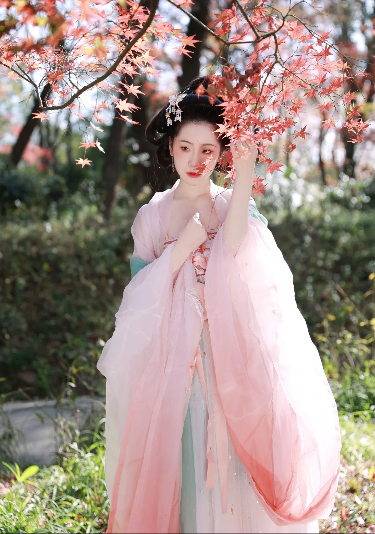 红枫