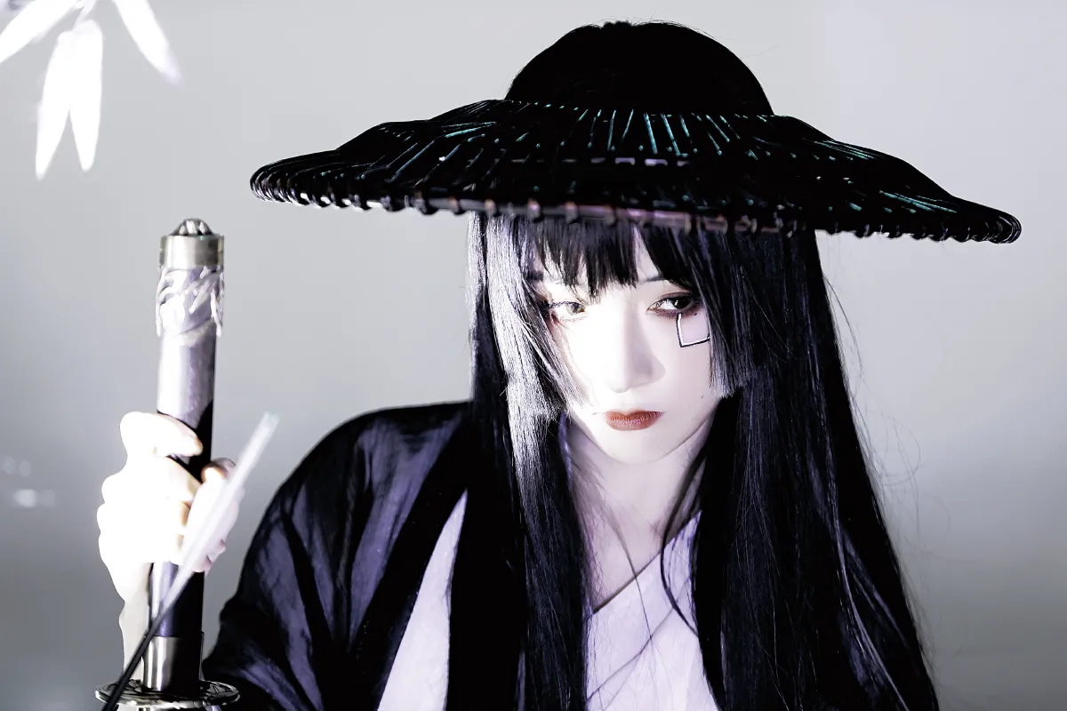 侠影