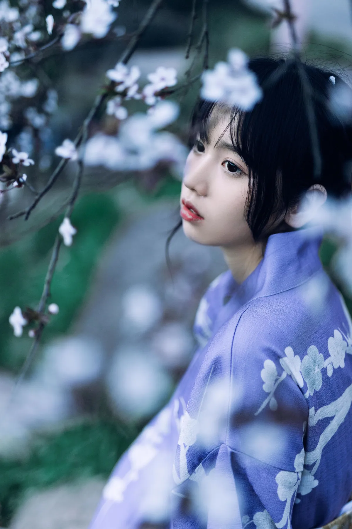 懒樱2