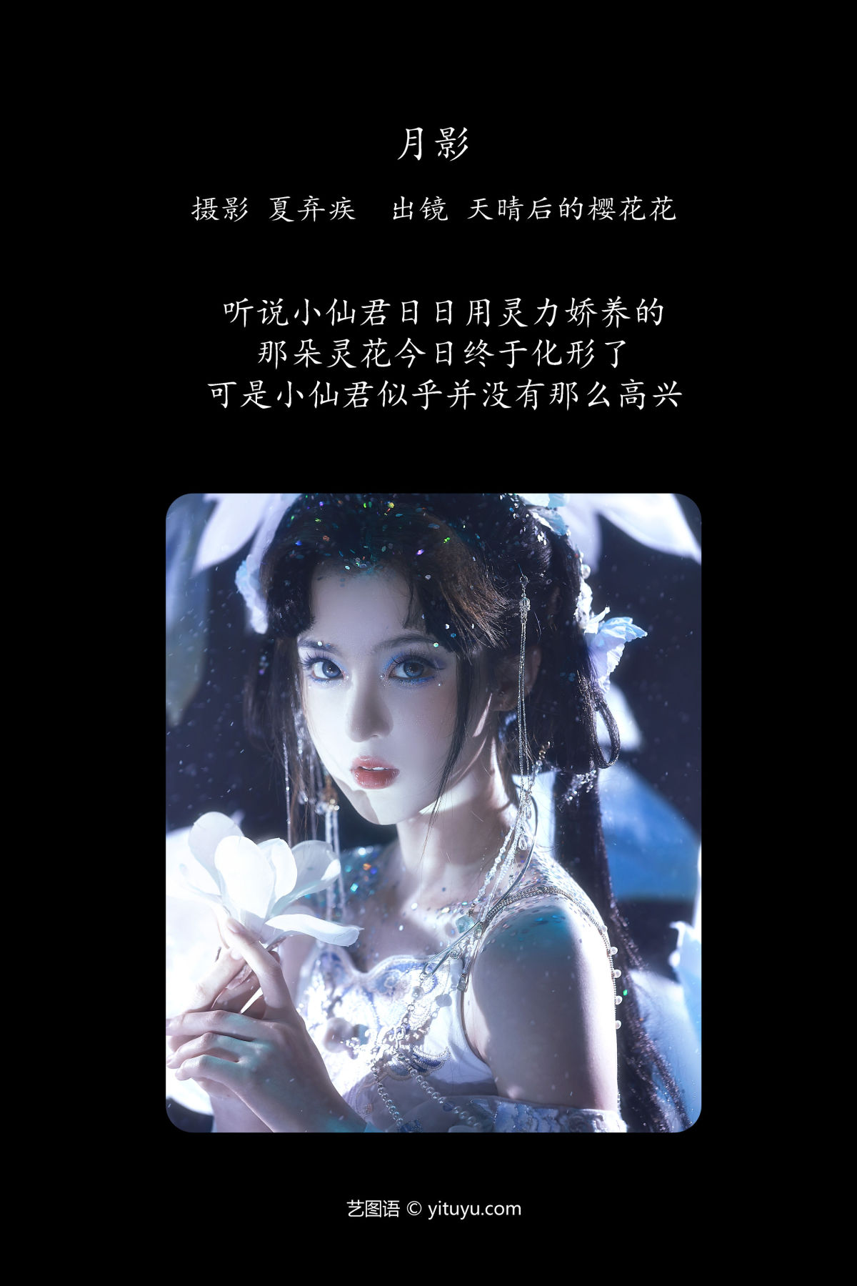 夏弃疾_天晴后的樱花花《月影》美图作品图片2