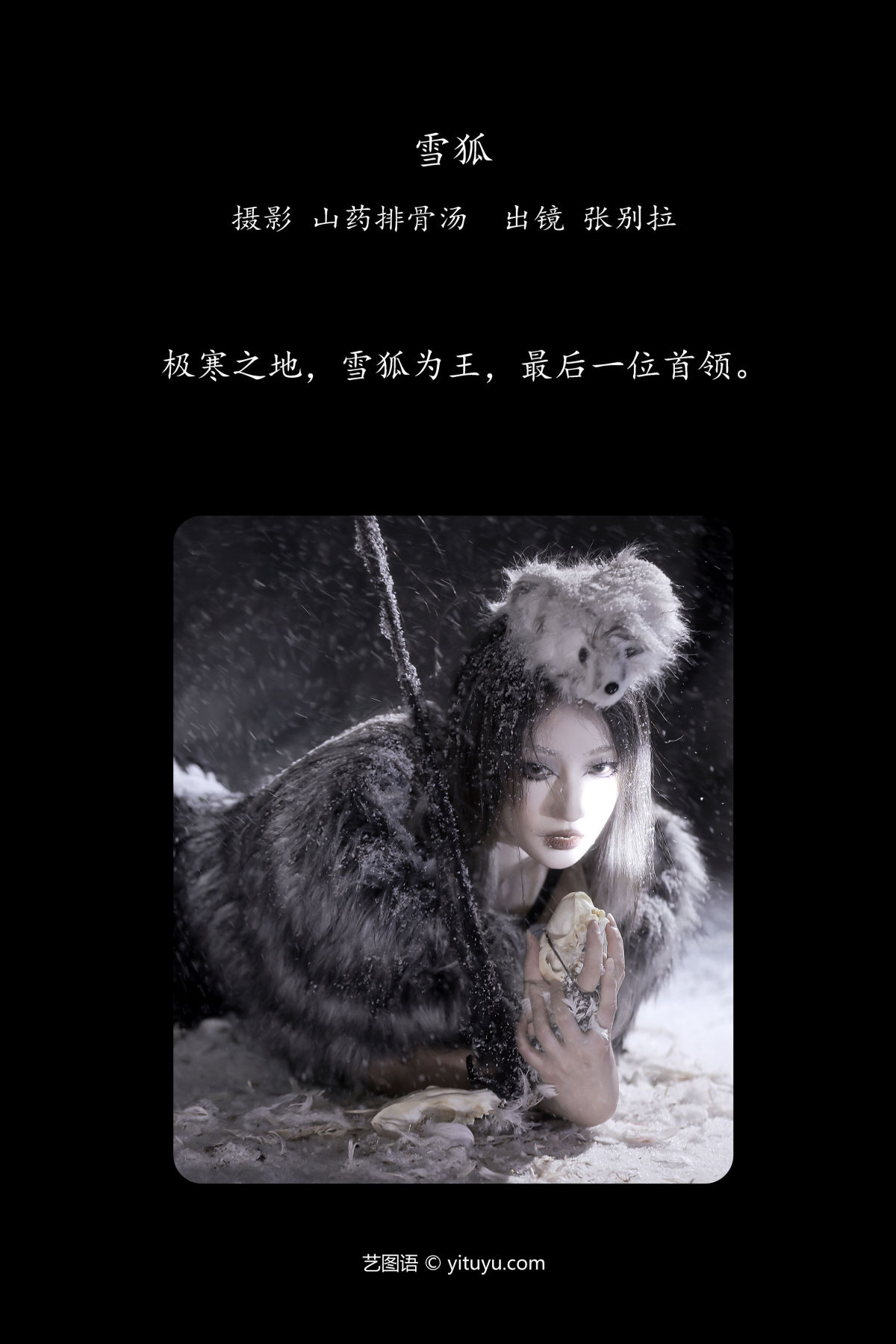 山药排骨汤_张别拉《雪狐》美图作品图片2