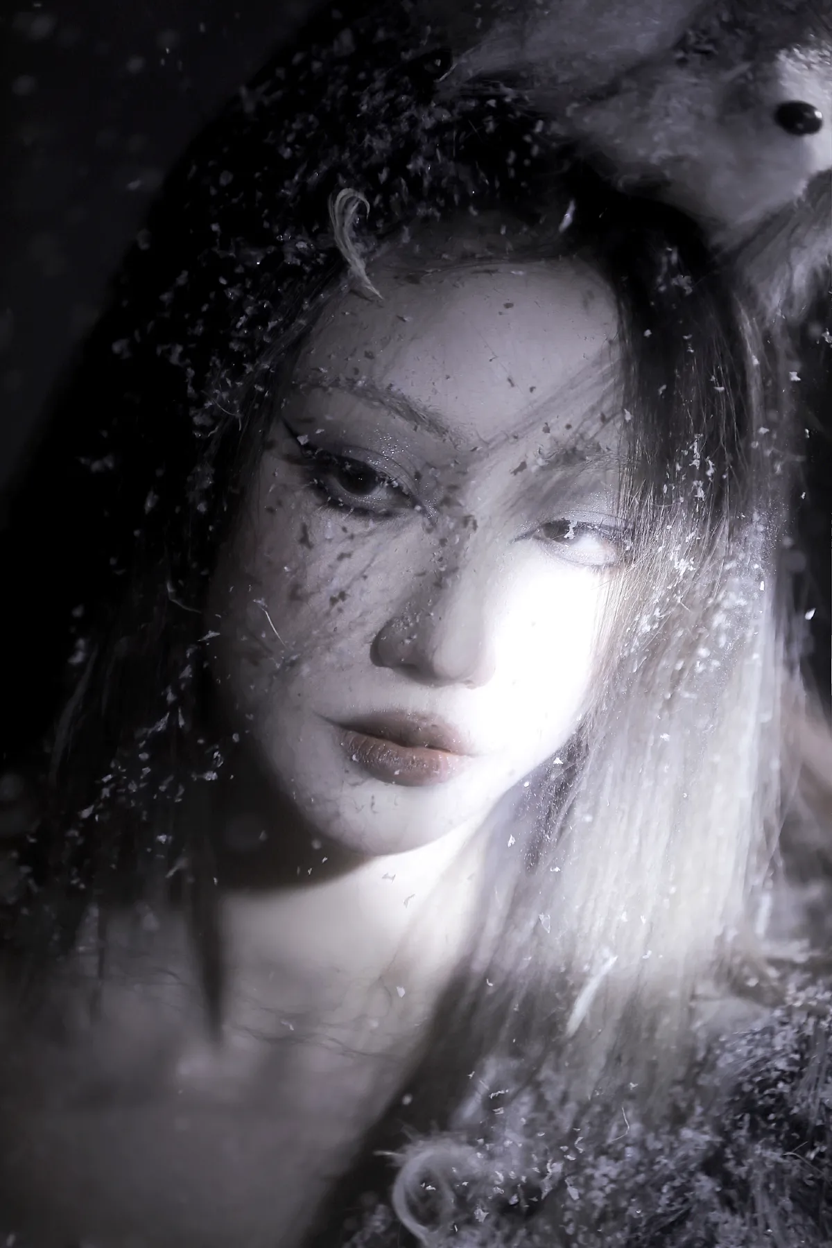 雪狐