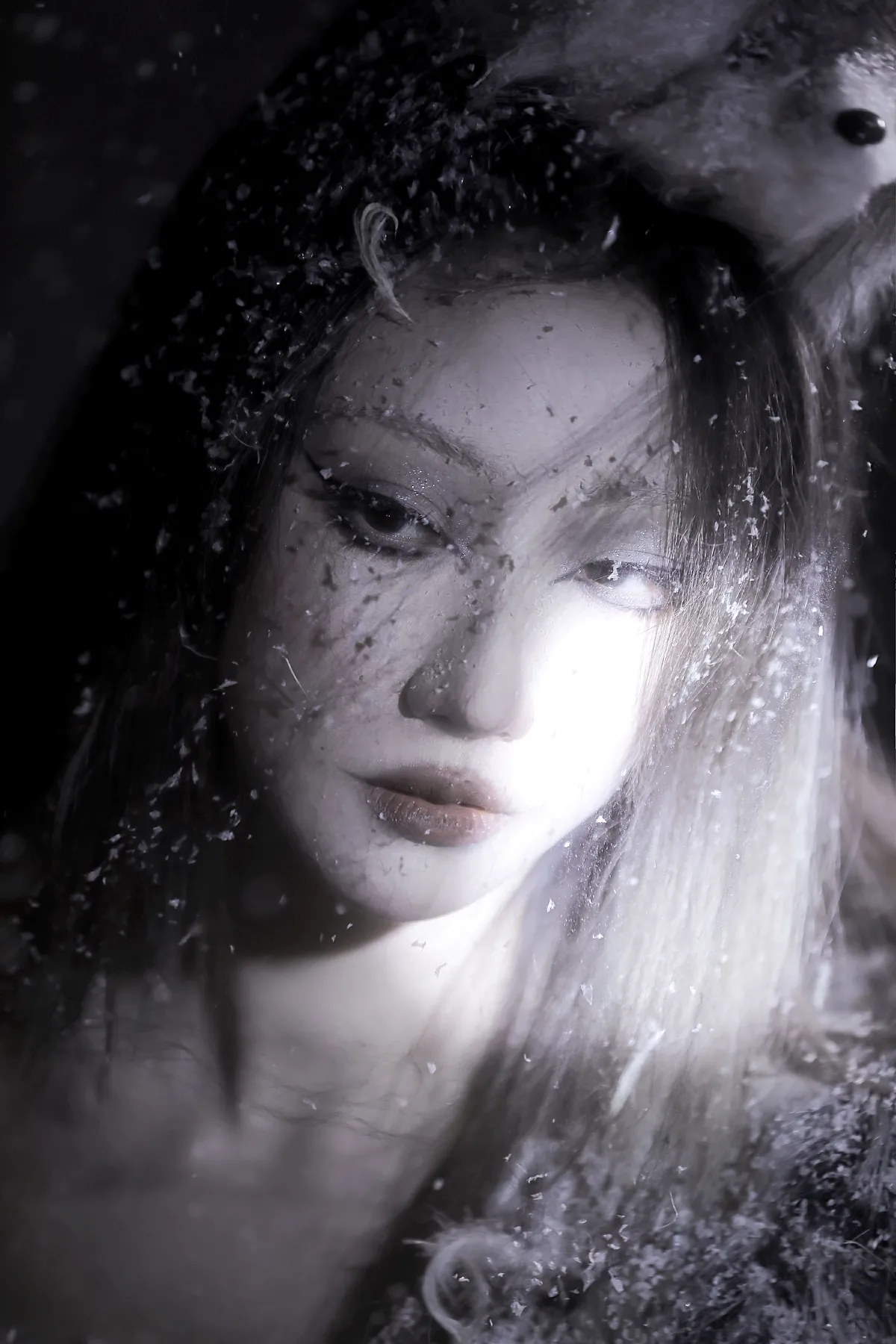 山药排骨汤_张别拉《雪狐》美图作品图片2
