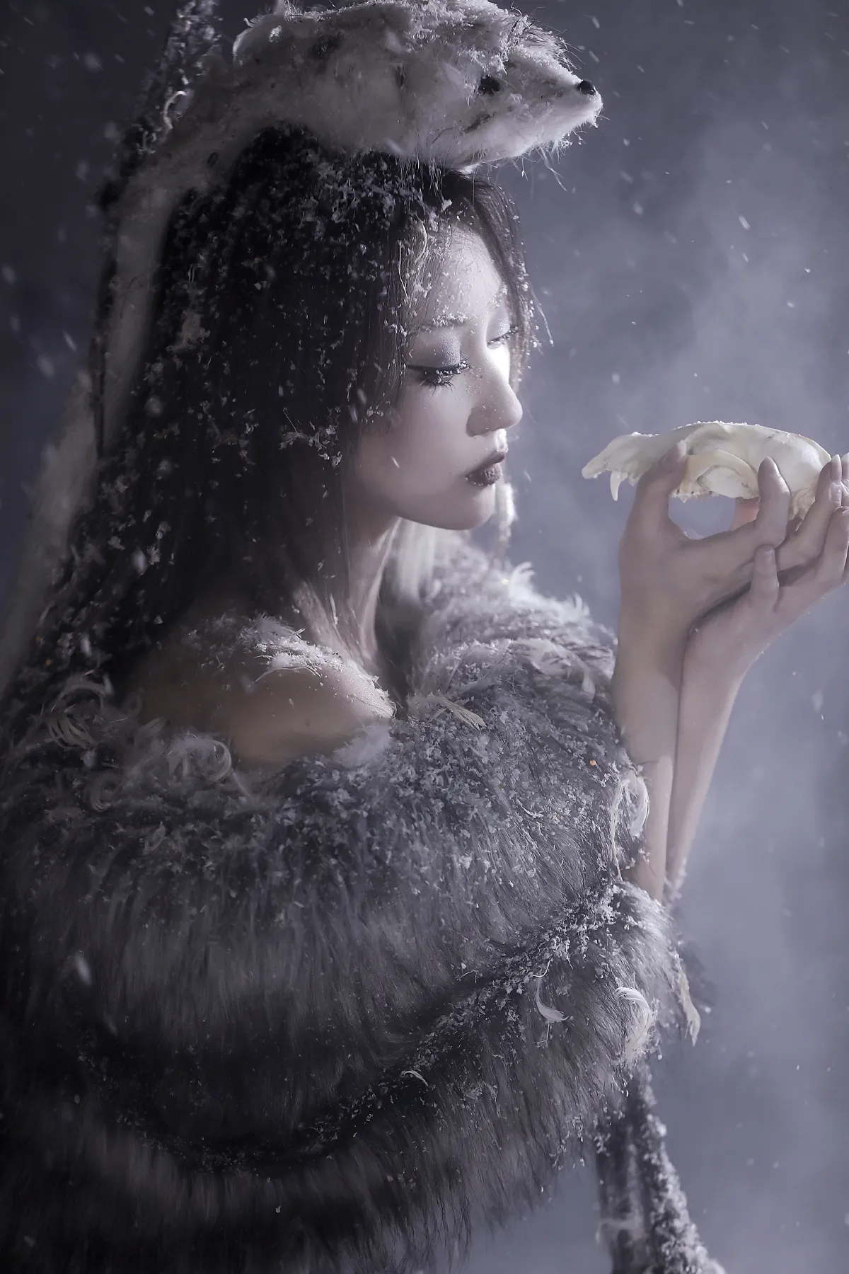 雪狐