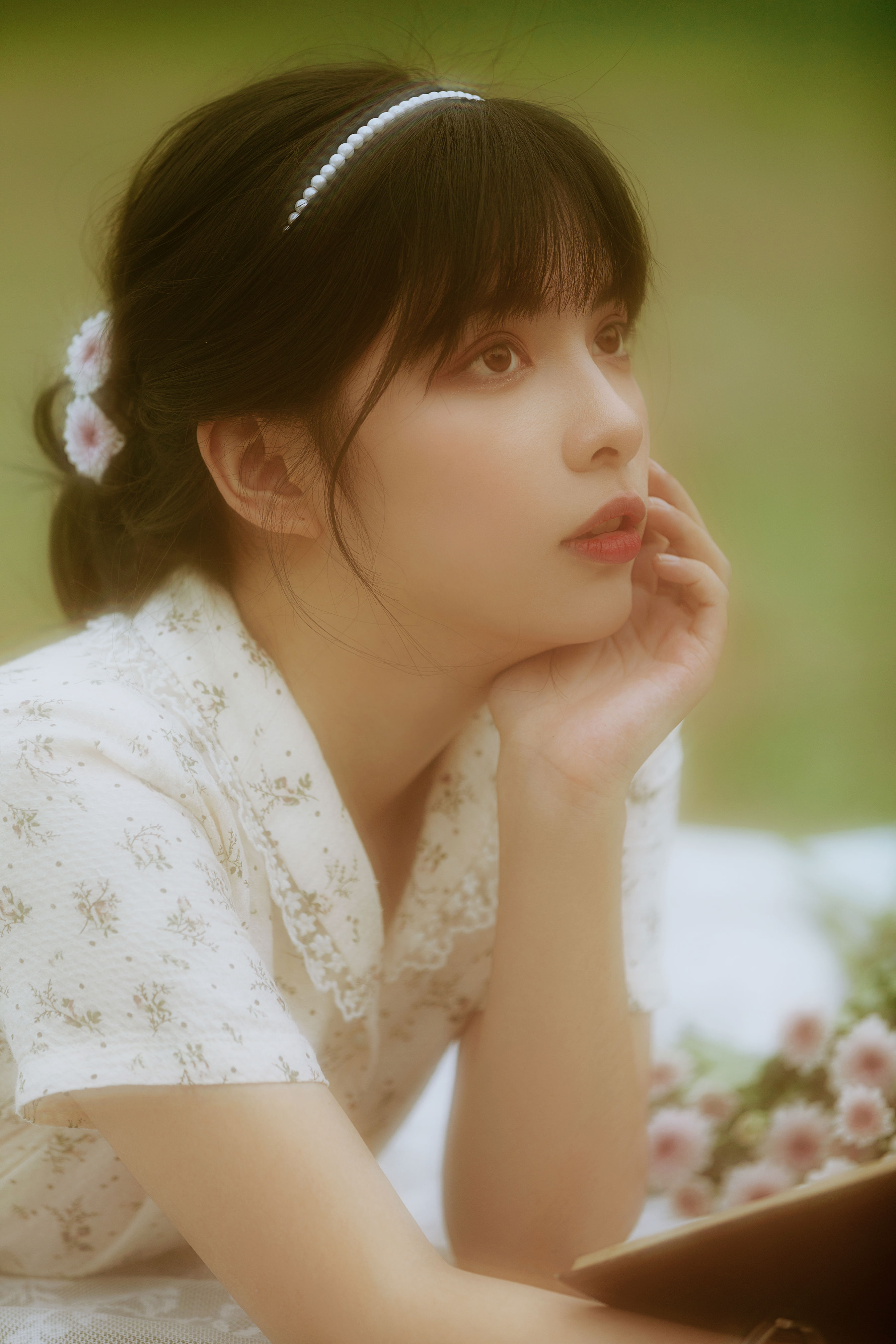 雏菊
