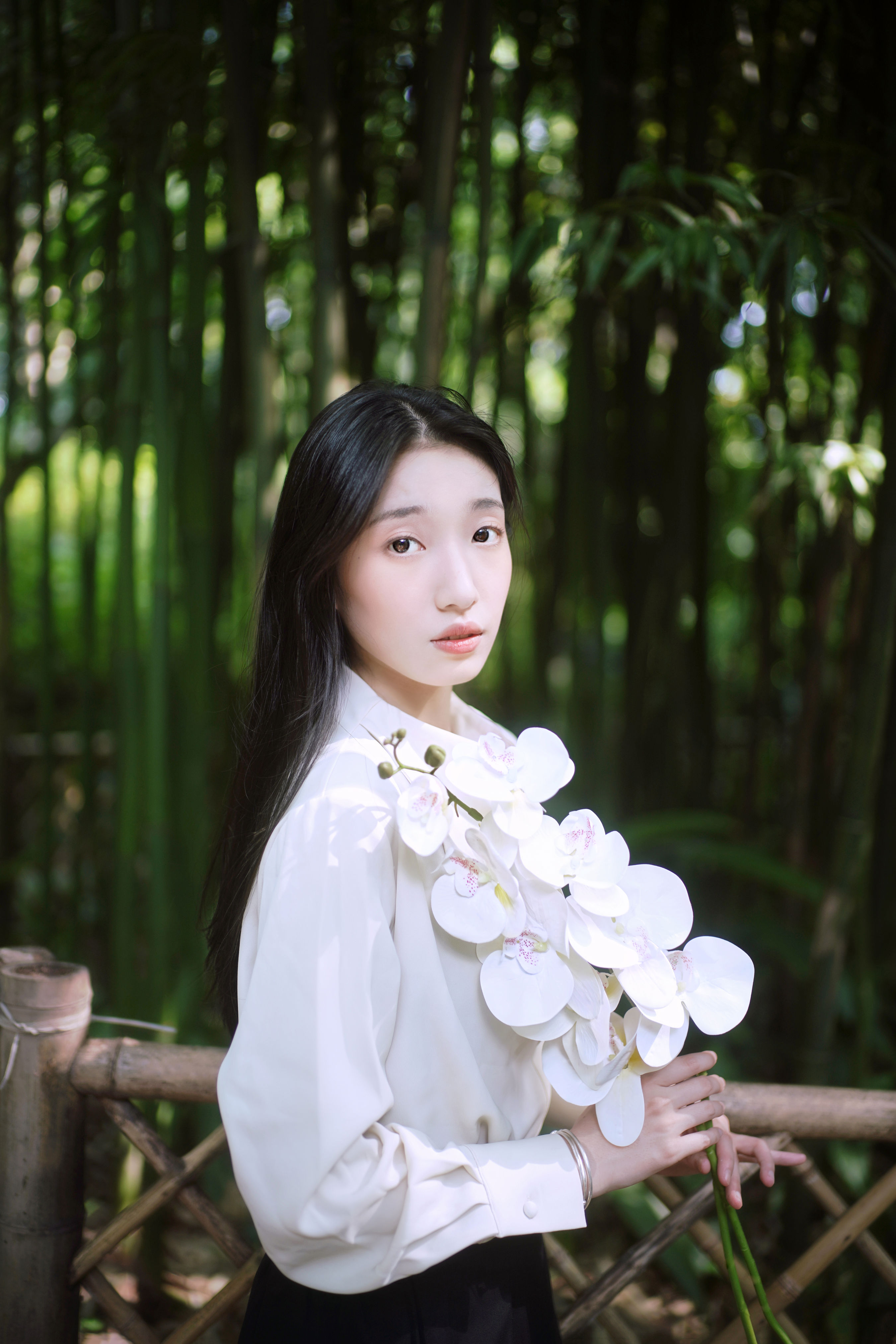 竹韵悠扬