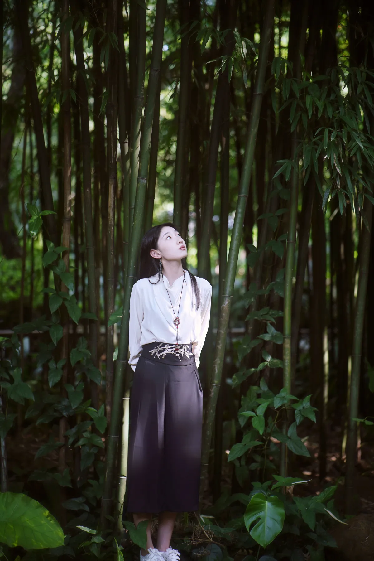 竹韵悠扬