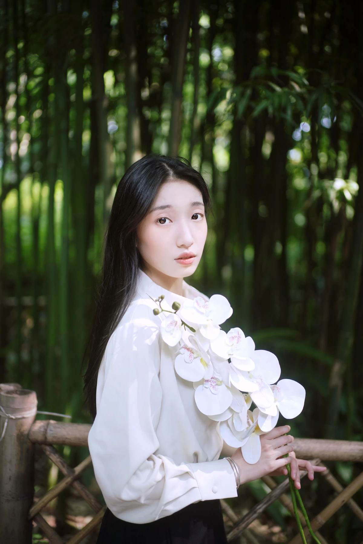 竹韵悠扬1