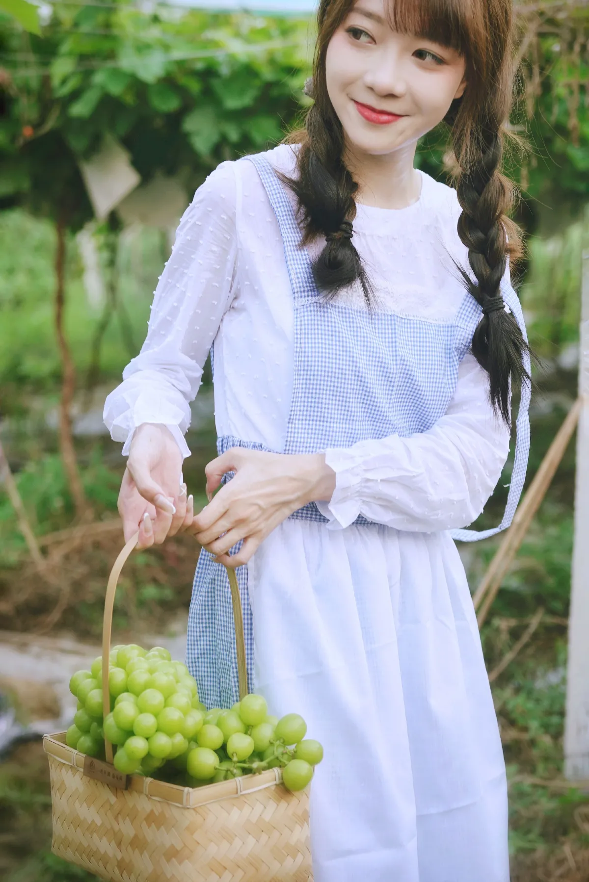 葡萄园丰收的喜悦