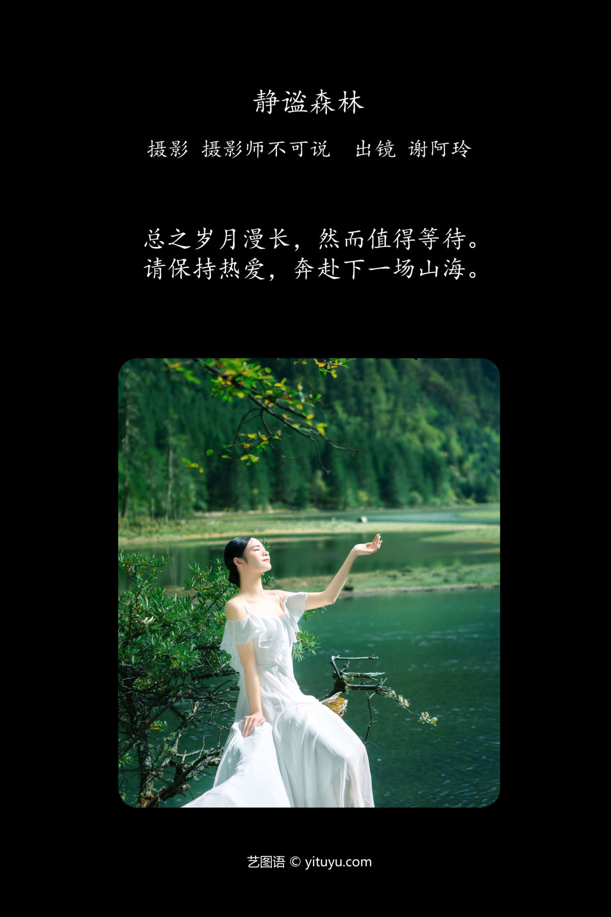 摄影师不可说_谢阿玲《静谧森林》美图作品图片2