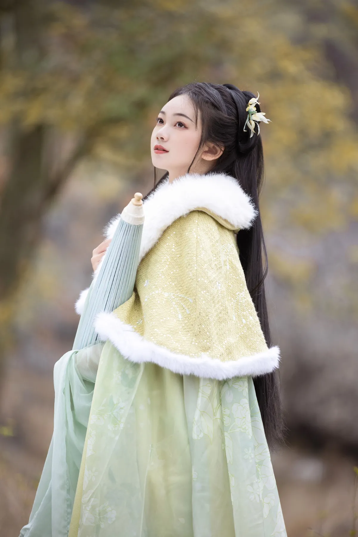枫2