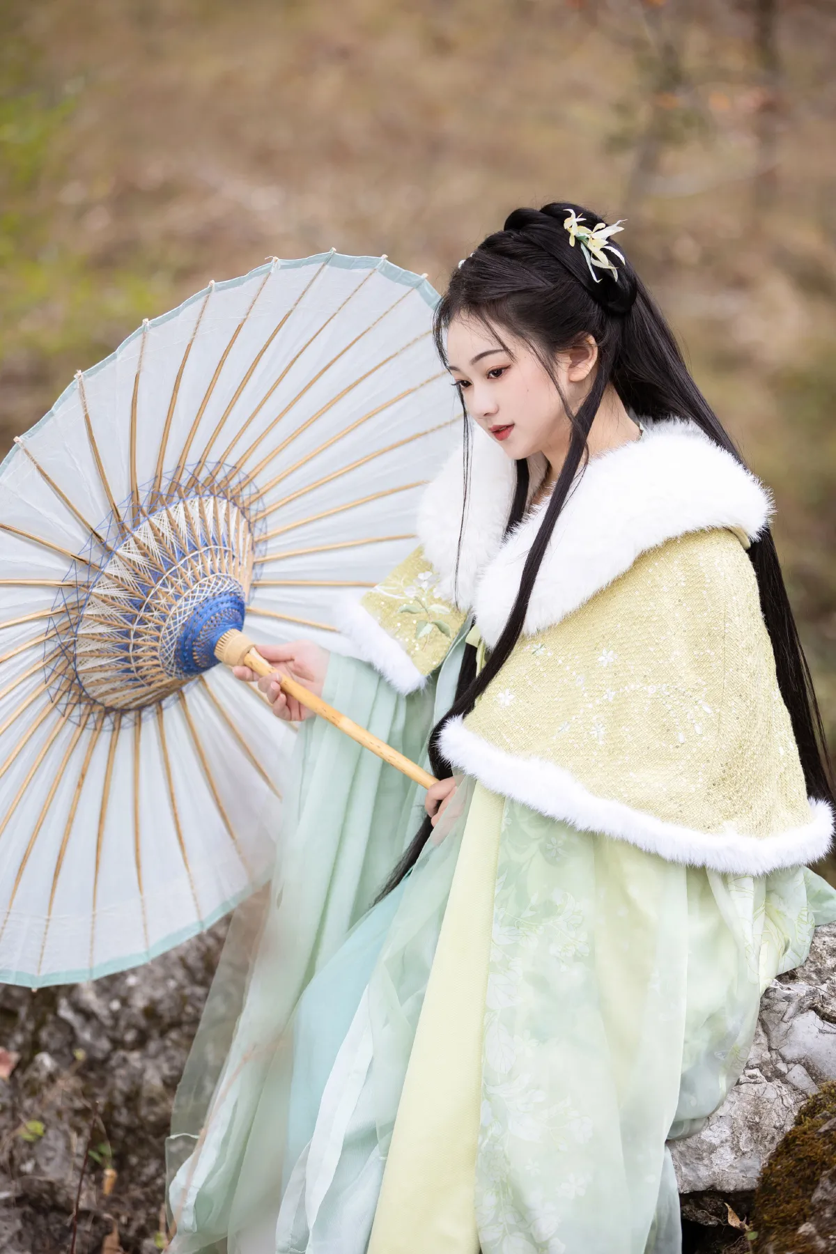 枫