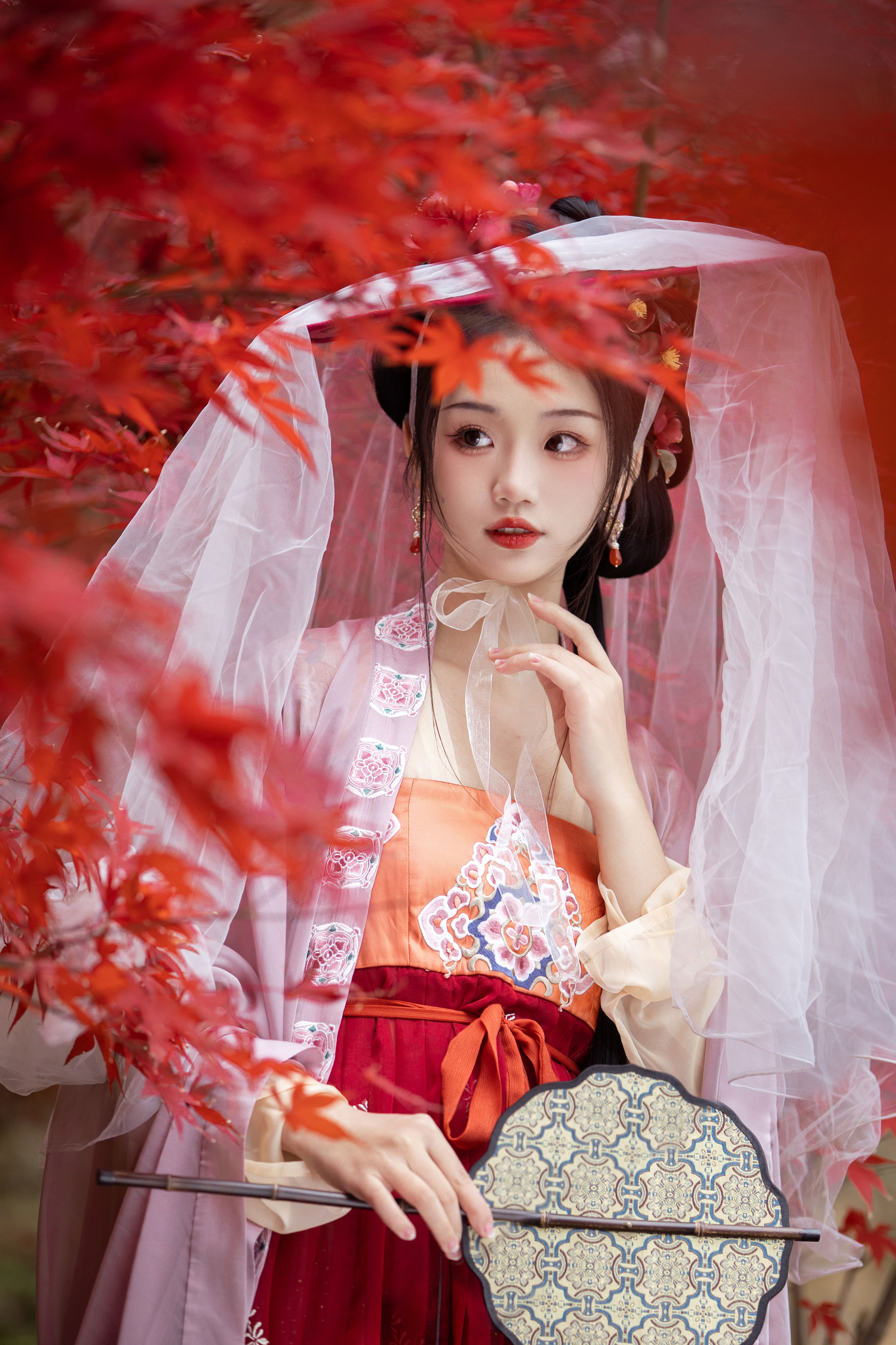 晚枫歌