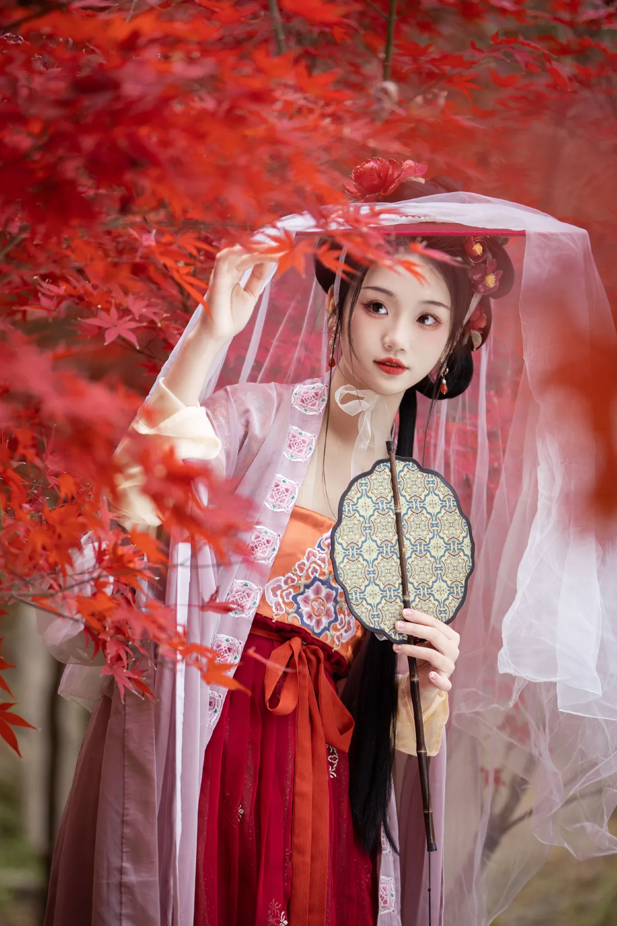 晚枫歌2