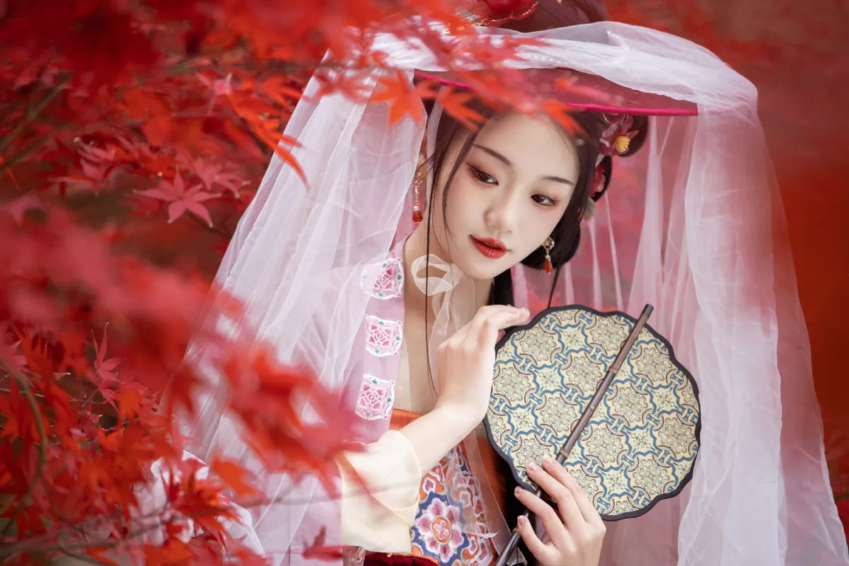 晚枫歌3