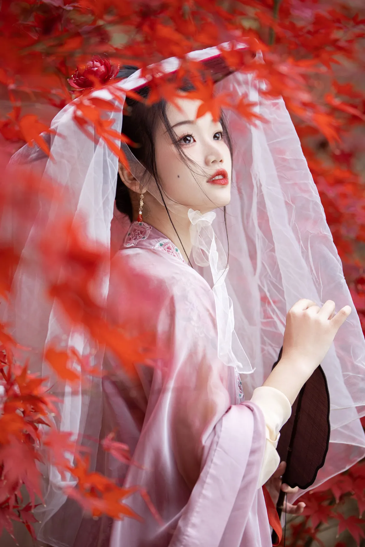 晚枫歌
