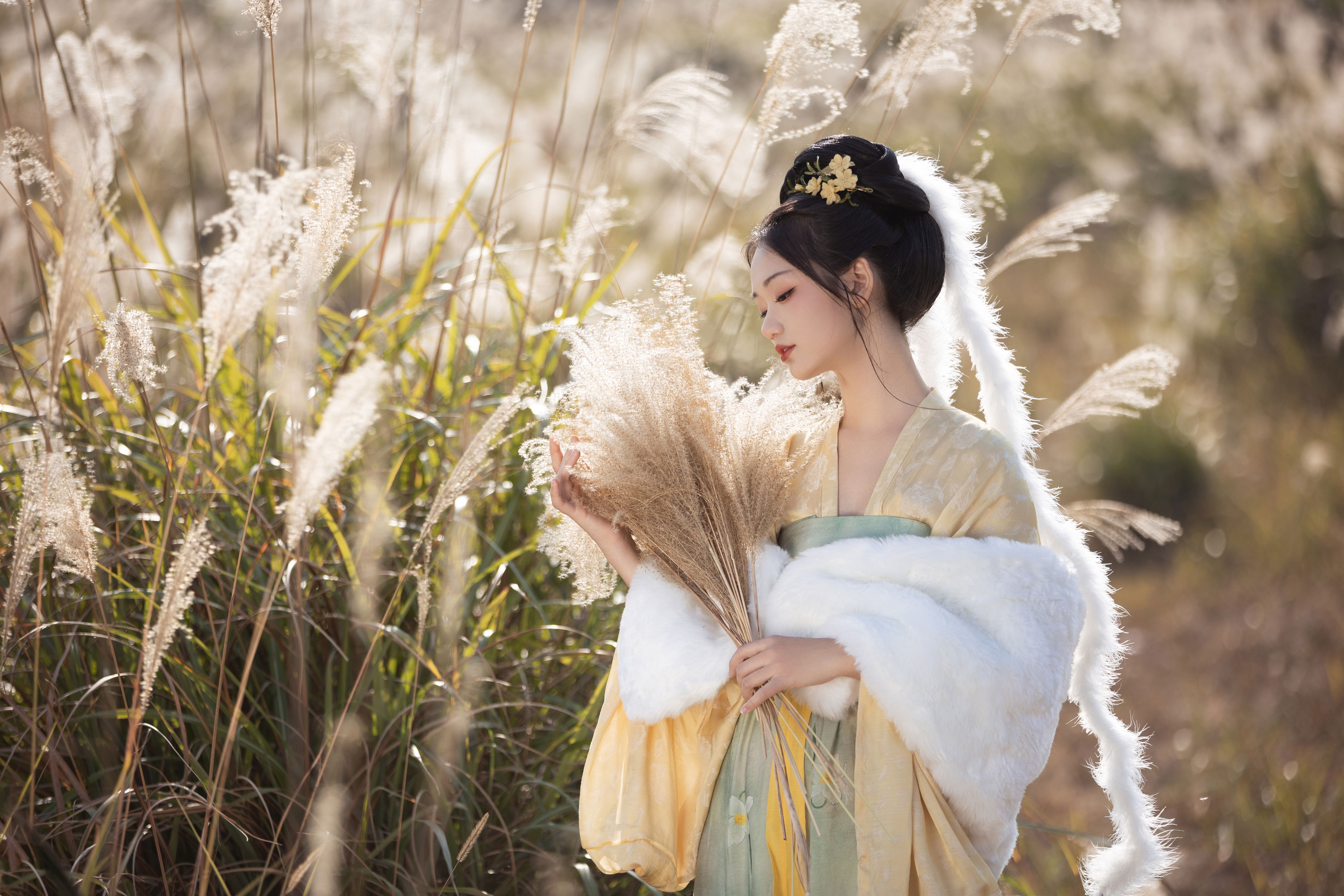 芦苇晚风鸣