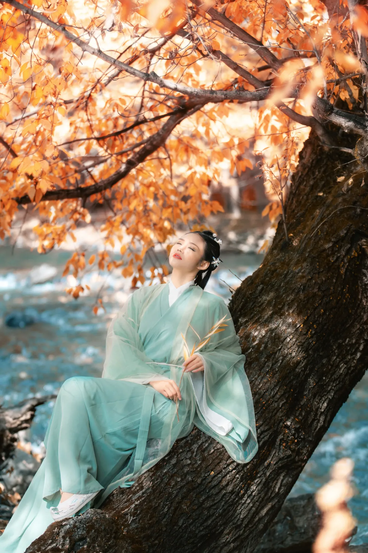 秋叶渐红1