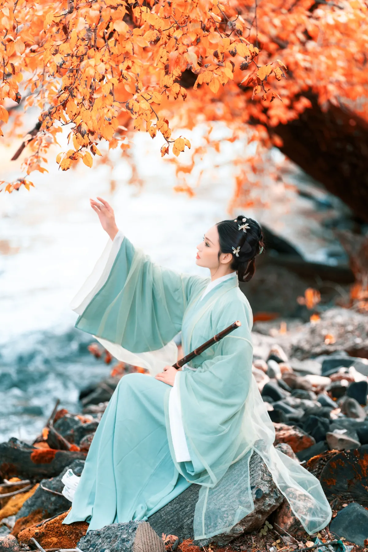秋叶渐红2