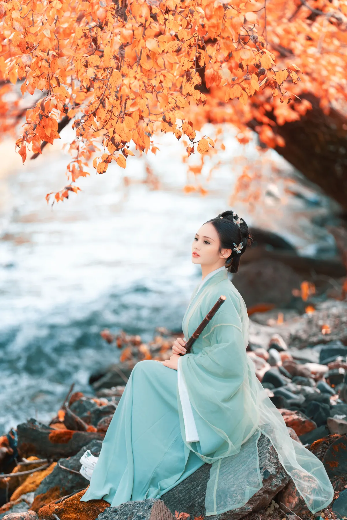 秋叶渐红3