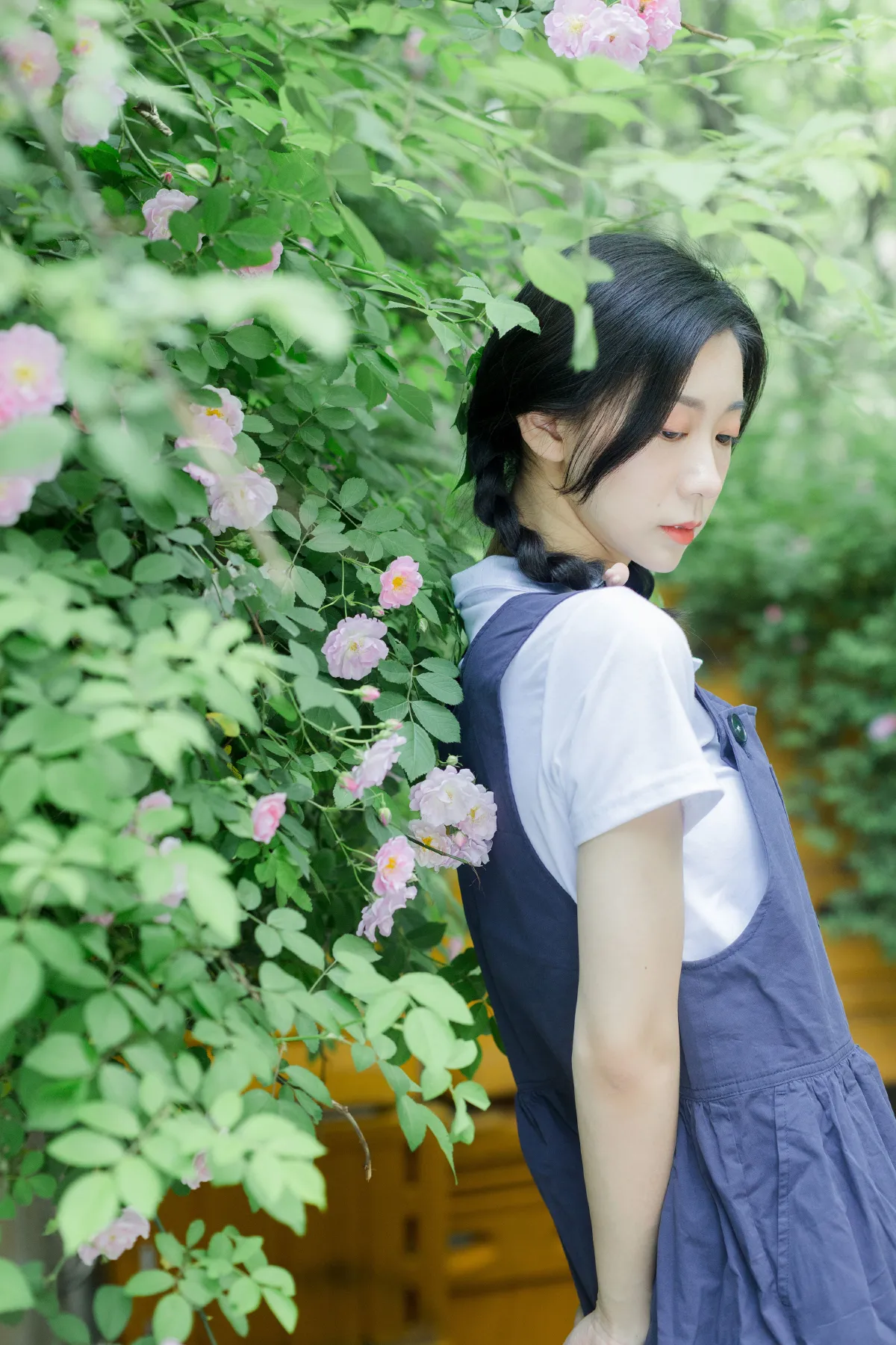 除了春天和蔷薇3