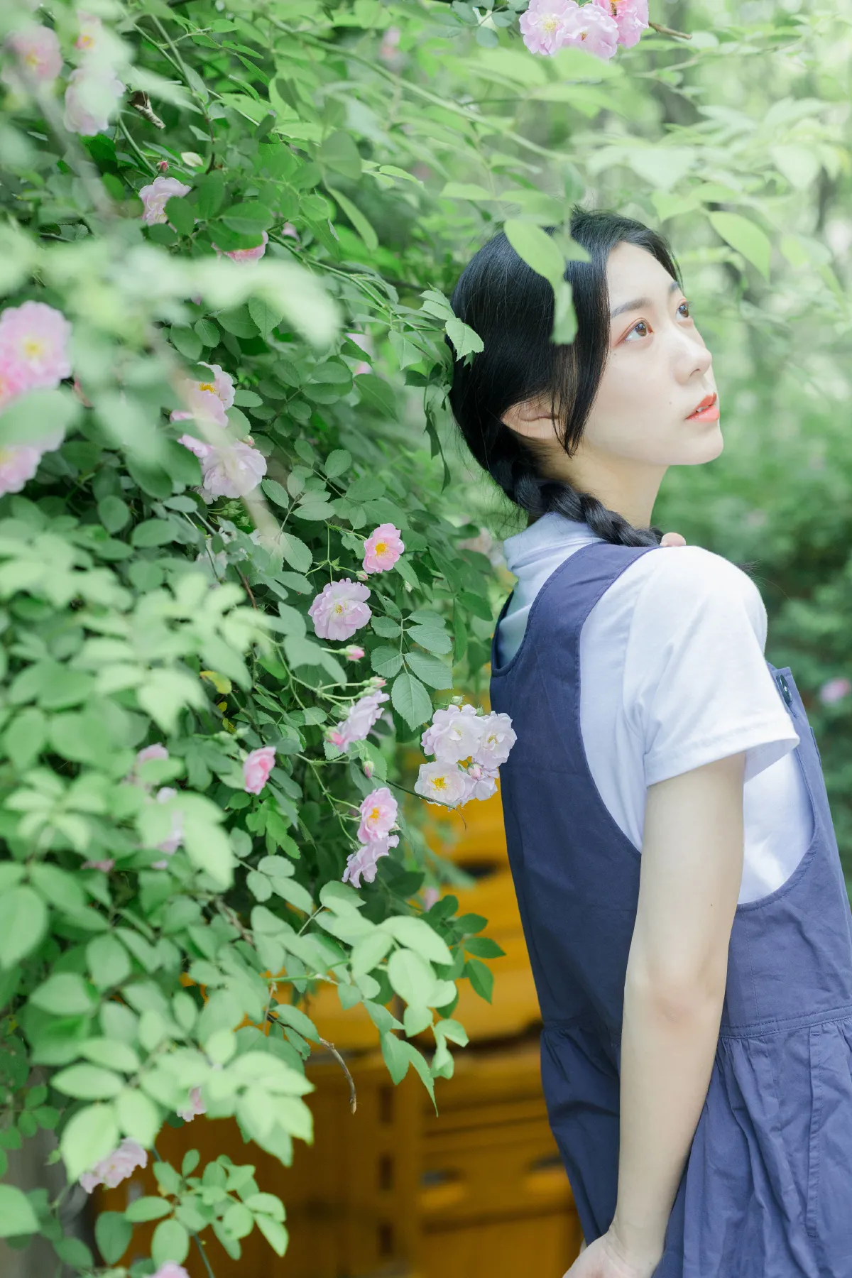 除了春天和蔷薇