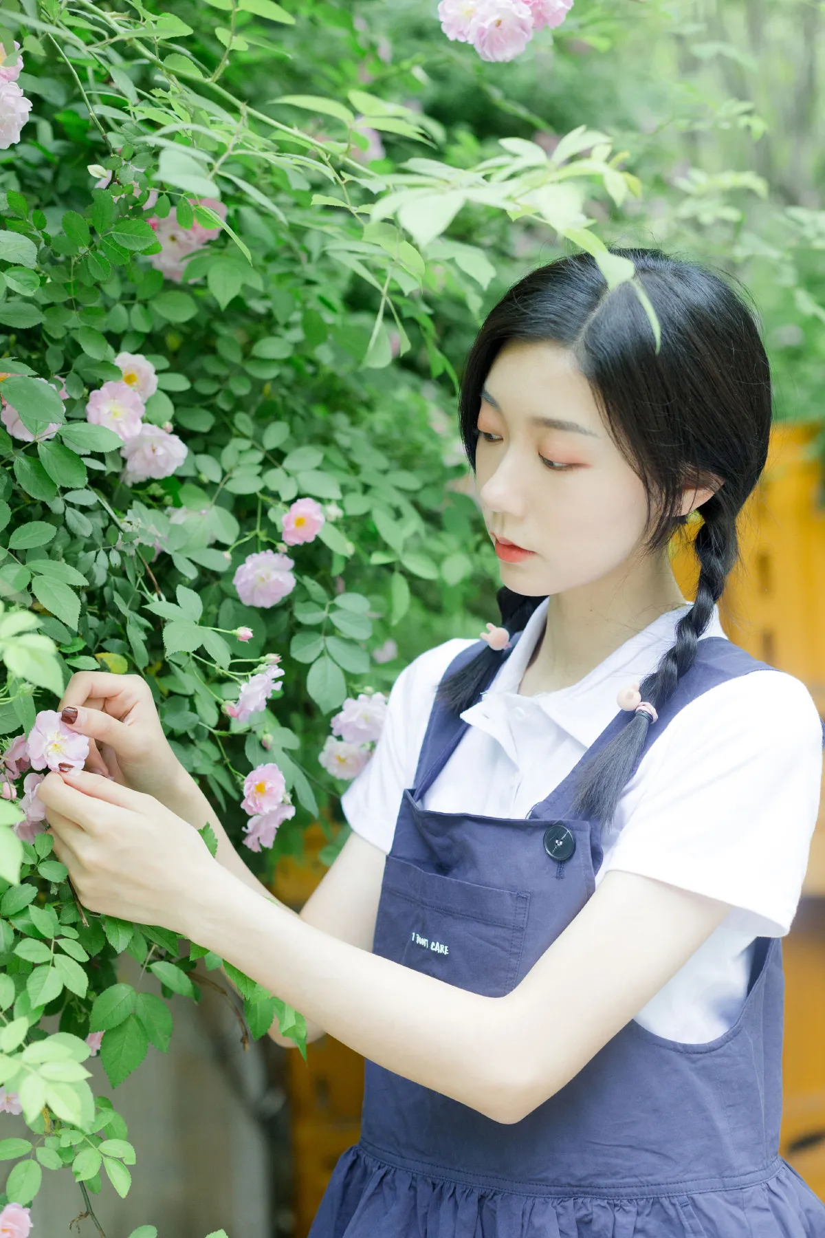 除了春天和蔷薇