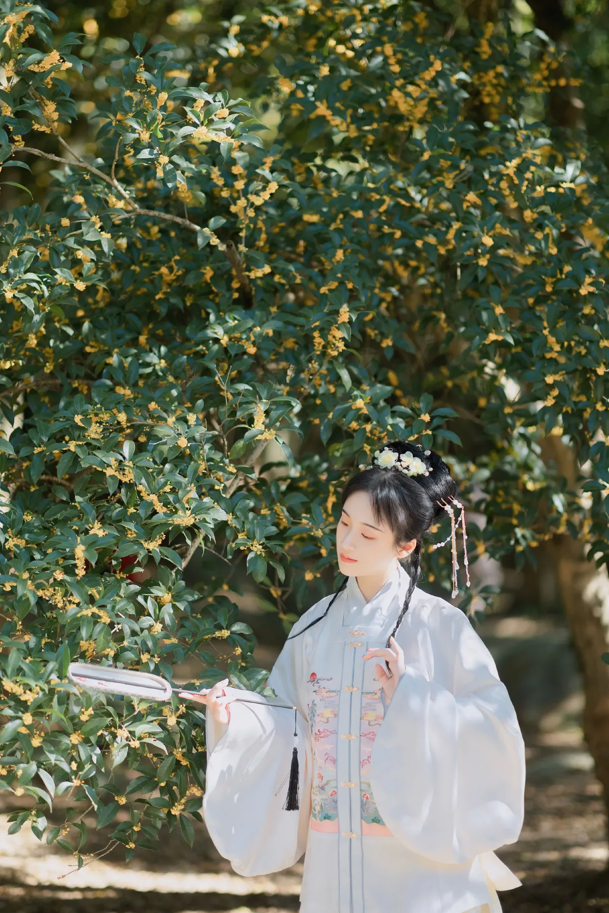 折桂令