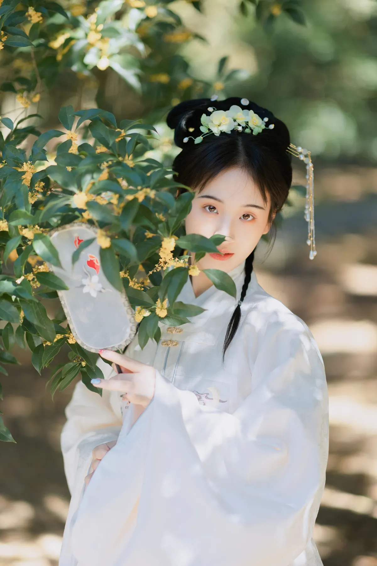 折桂令2